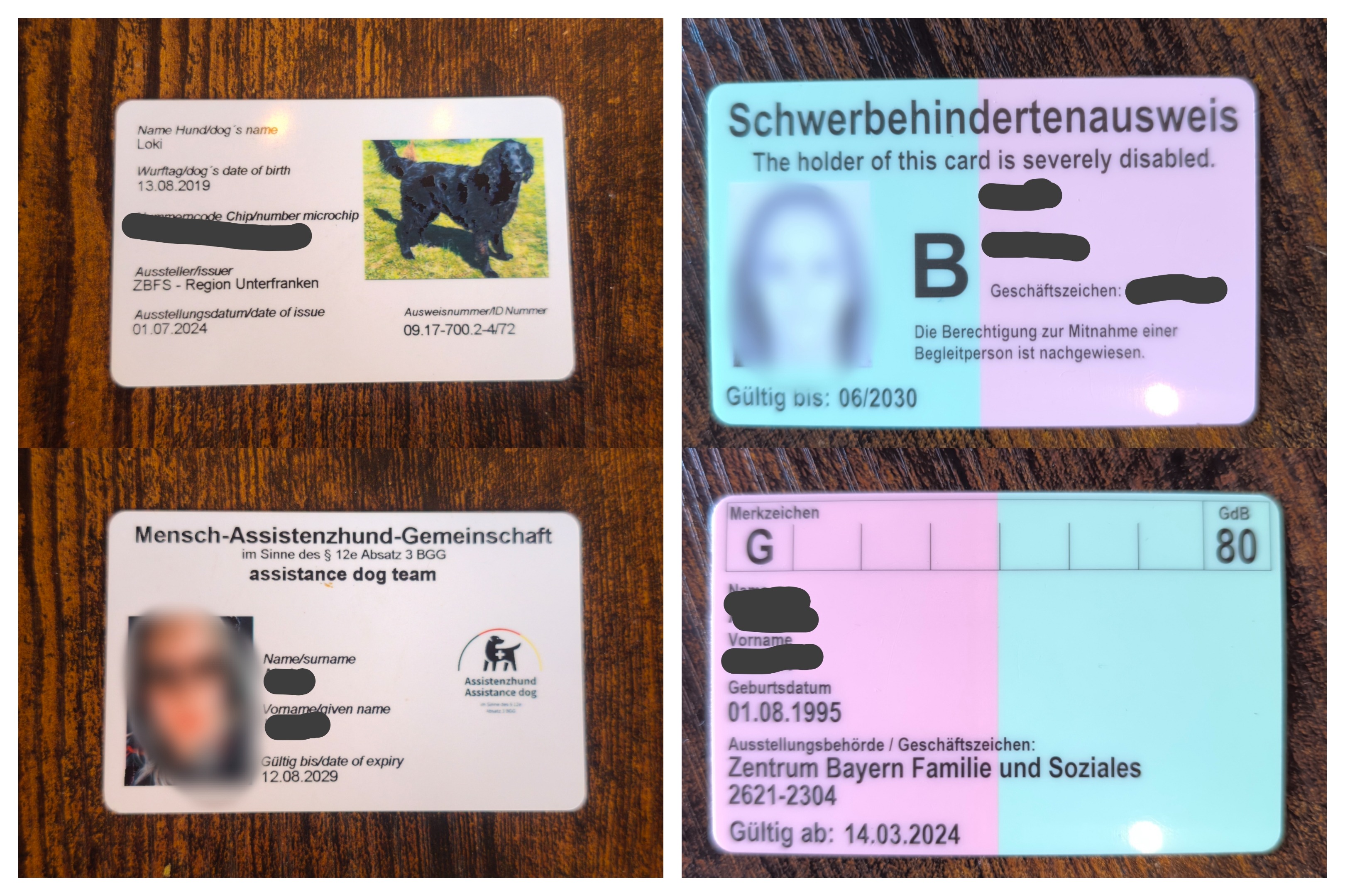 Dringende Hilfe benötigt – Urgent Help Needed campaign photo, 5 of 8