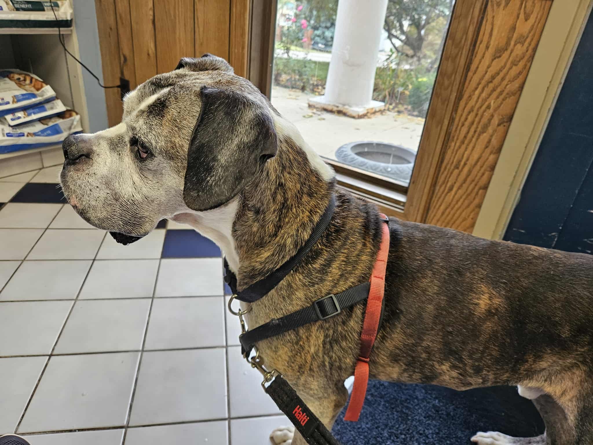 Fundraiser for Maxie’s Emergency Care campaign photo, 4 of 5