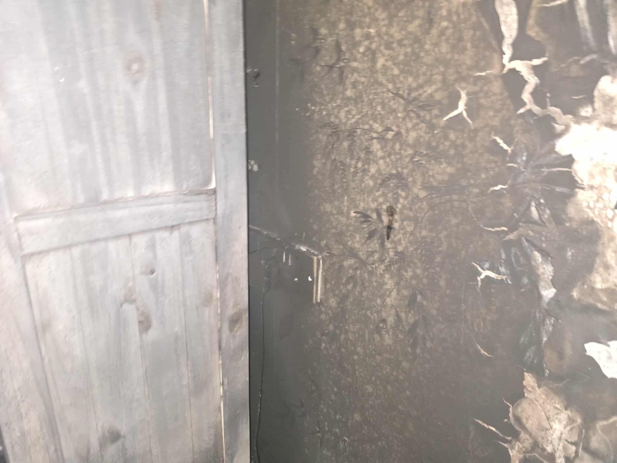 Help Stuart & Chelsey Rebuild After a devastating house fire campaign photo, 4 of 5
