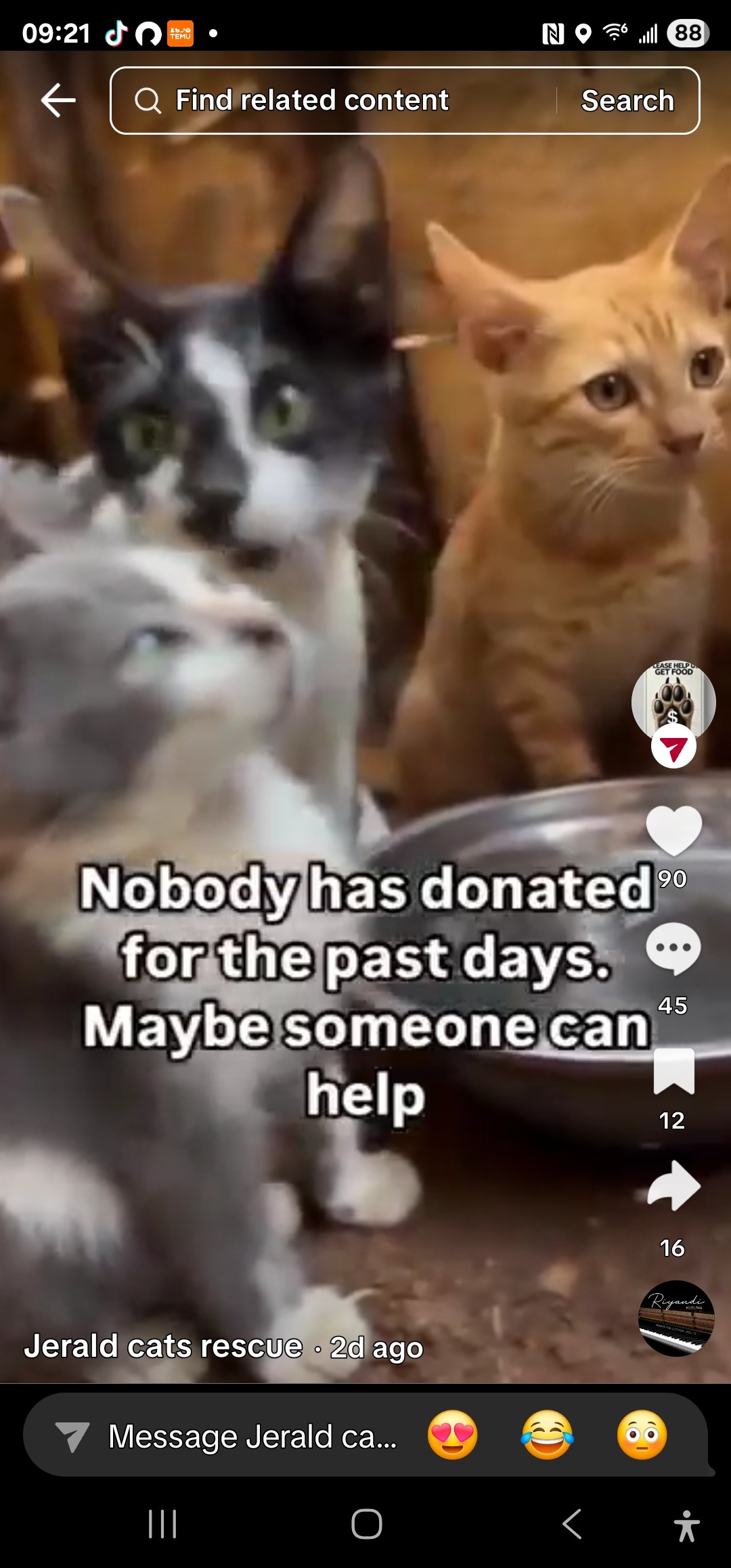 Jeralds Cat Rescue (An angel among humans) campaign photo, 4 of 5