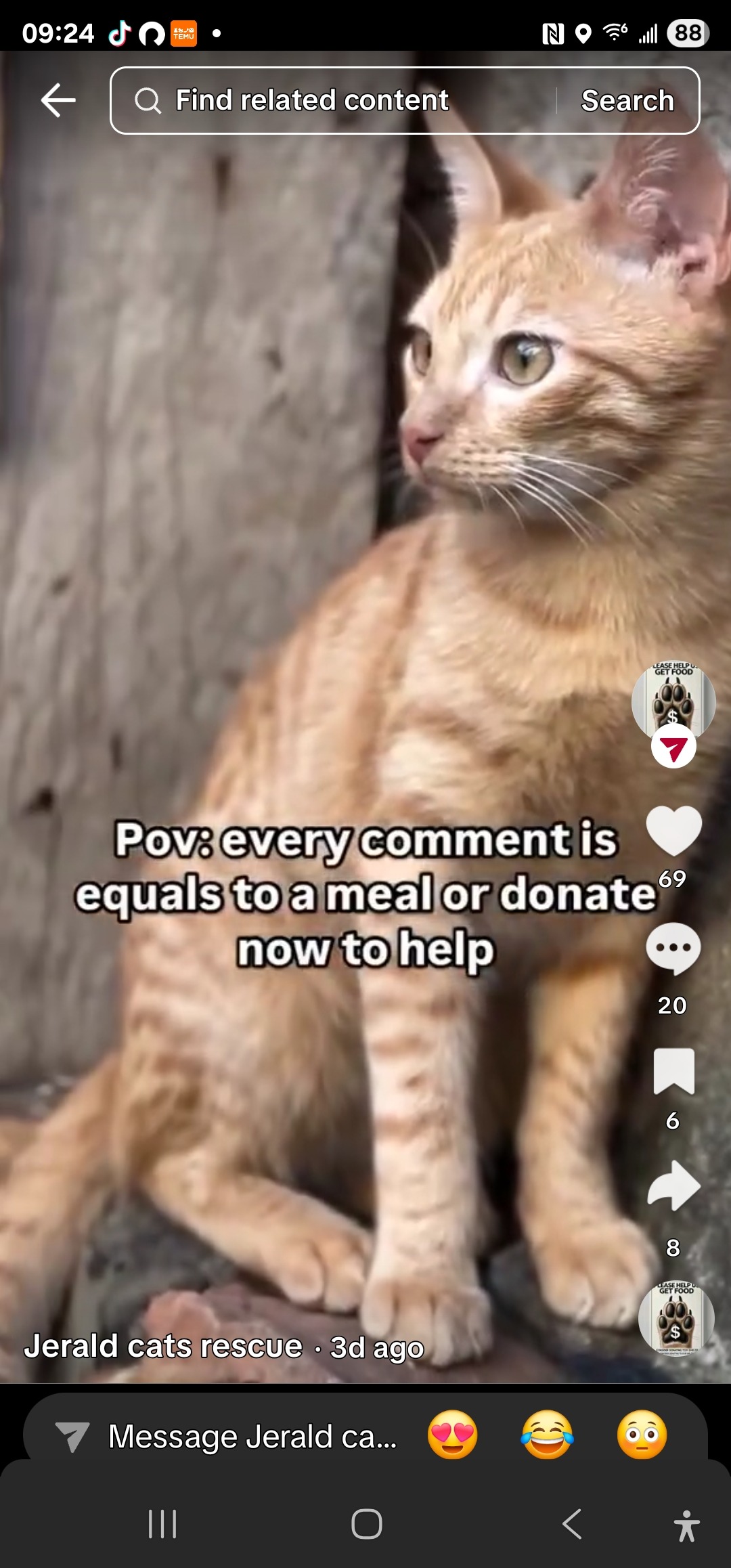 Jeralds Cat Rescue (An angel among humans) campaign photo, 2 of 5