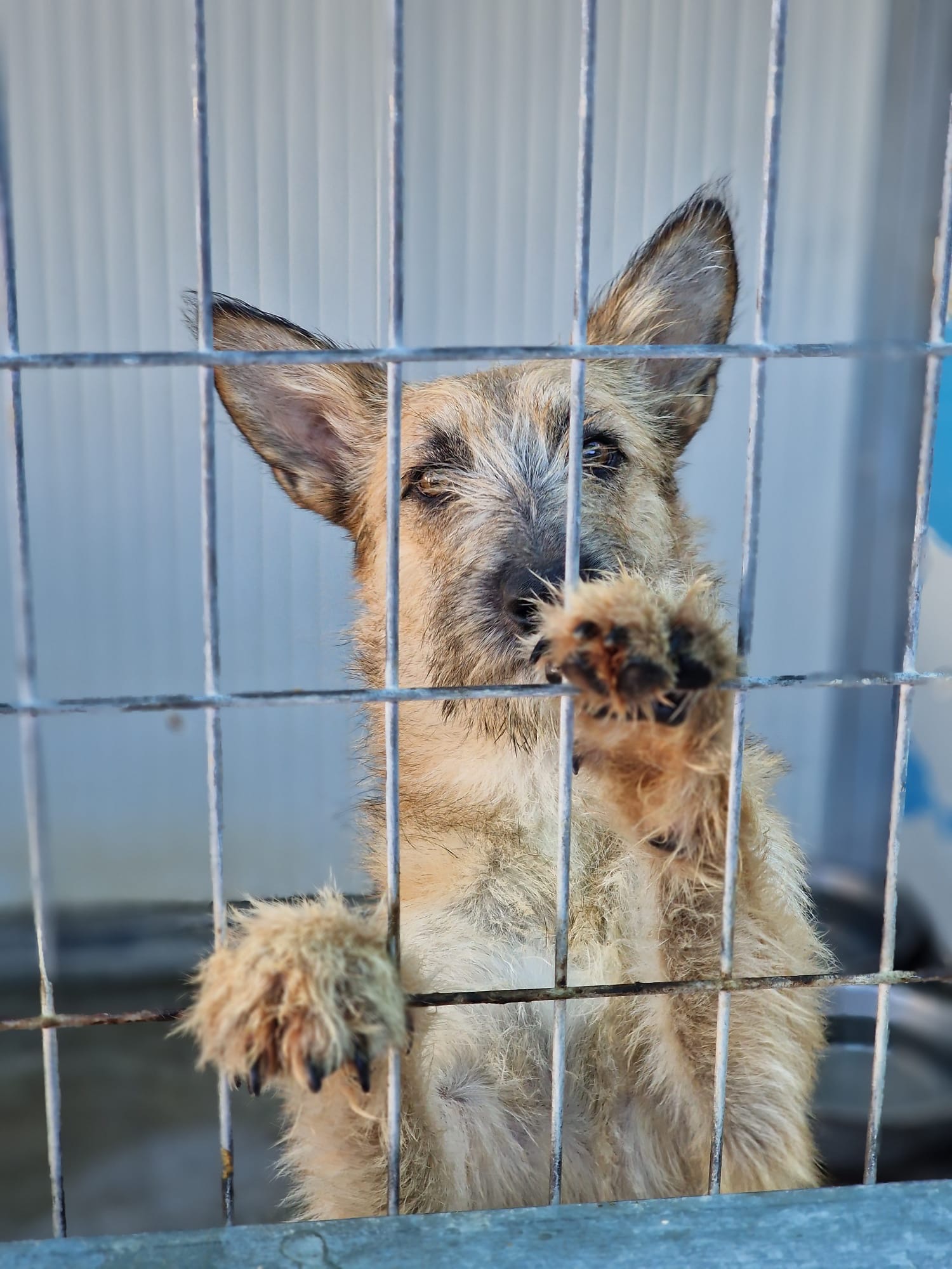 Fundraiser by Christel Klabbers : Help ACE aan een extra centje voor ...