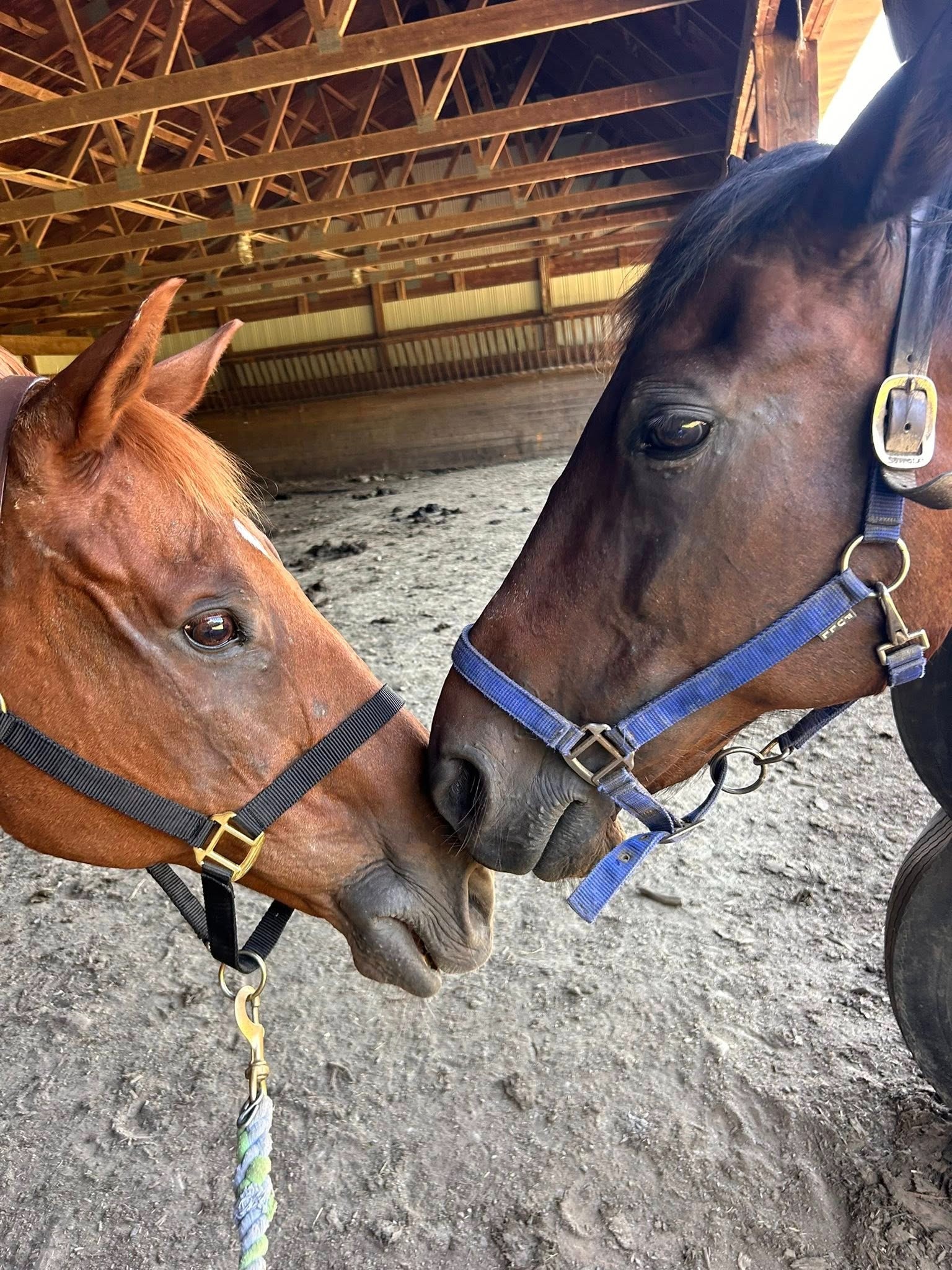 User-uploaded image 1