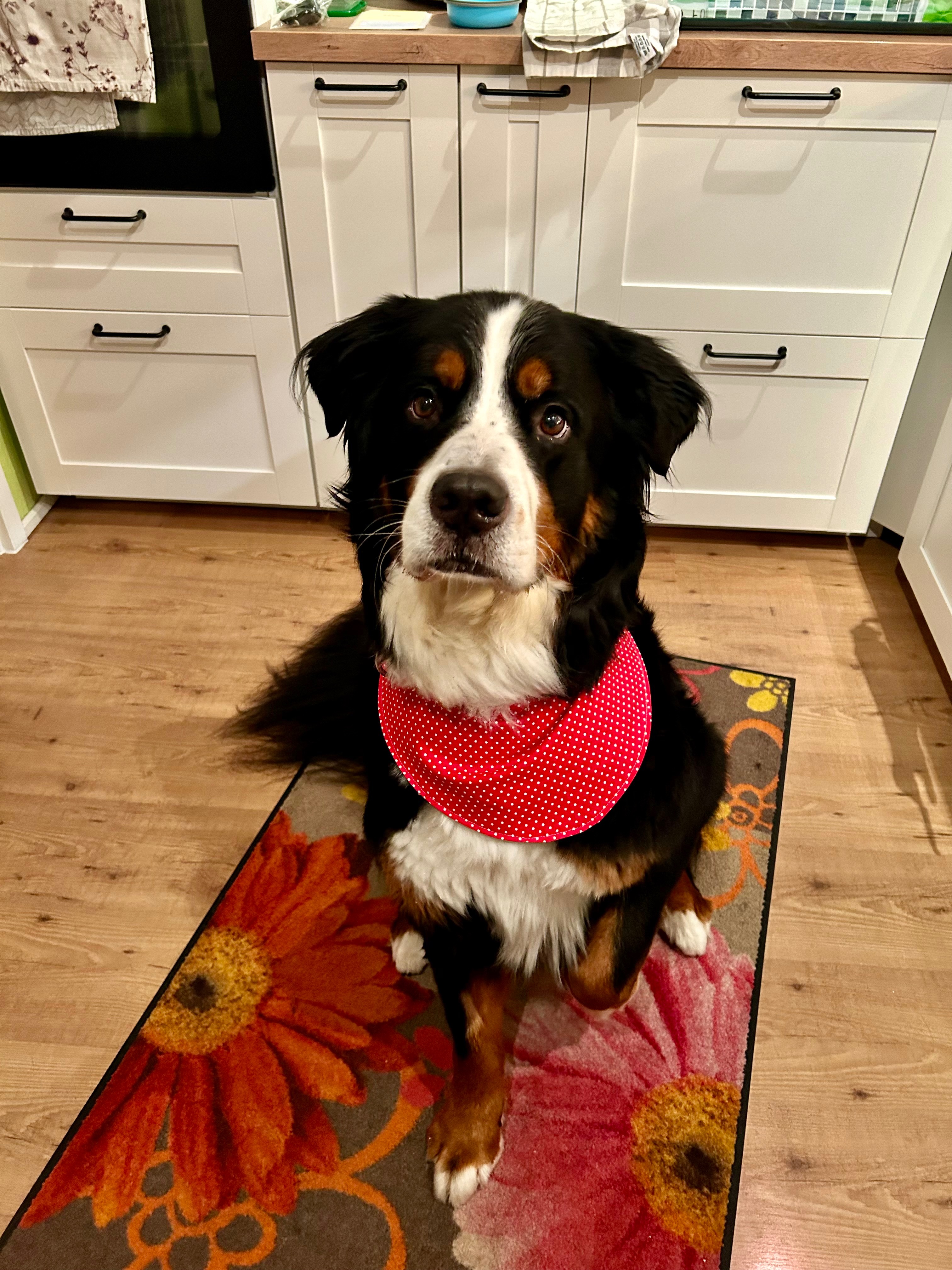 Hoffnung für Senno ❤️ campaign photo, 2 of 6
