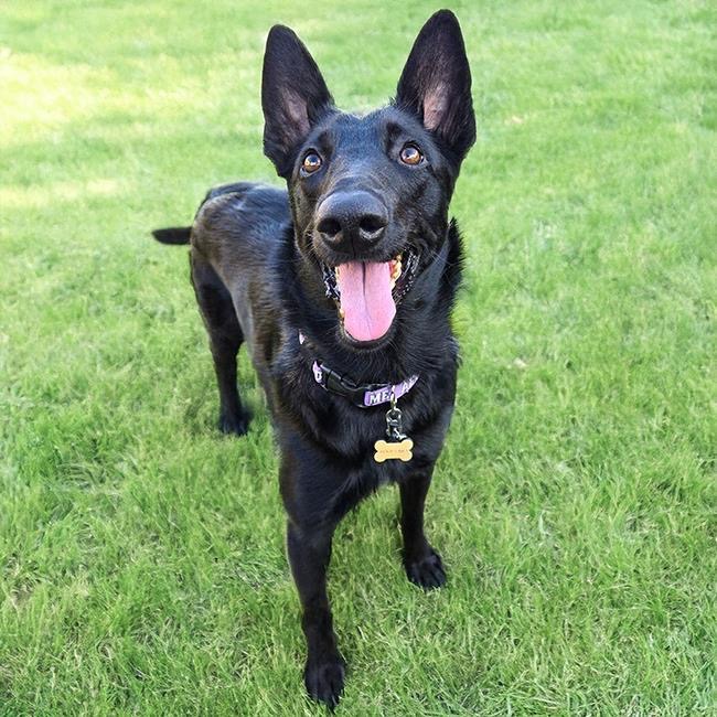 Save Winnie’s Smile: Donate for Her Surgery campaign photo, 5 of 6