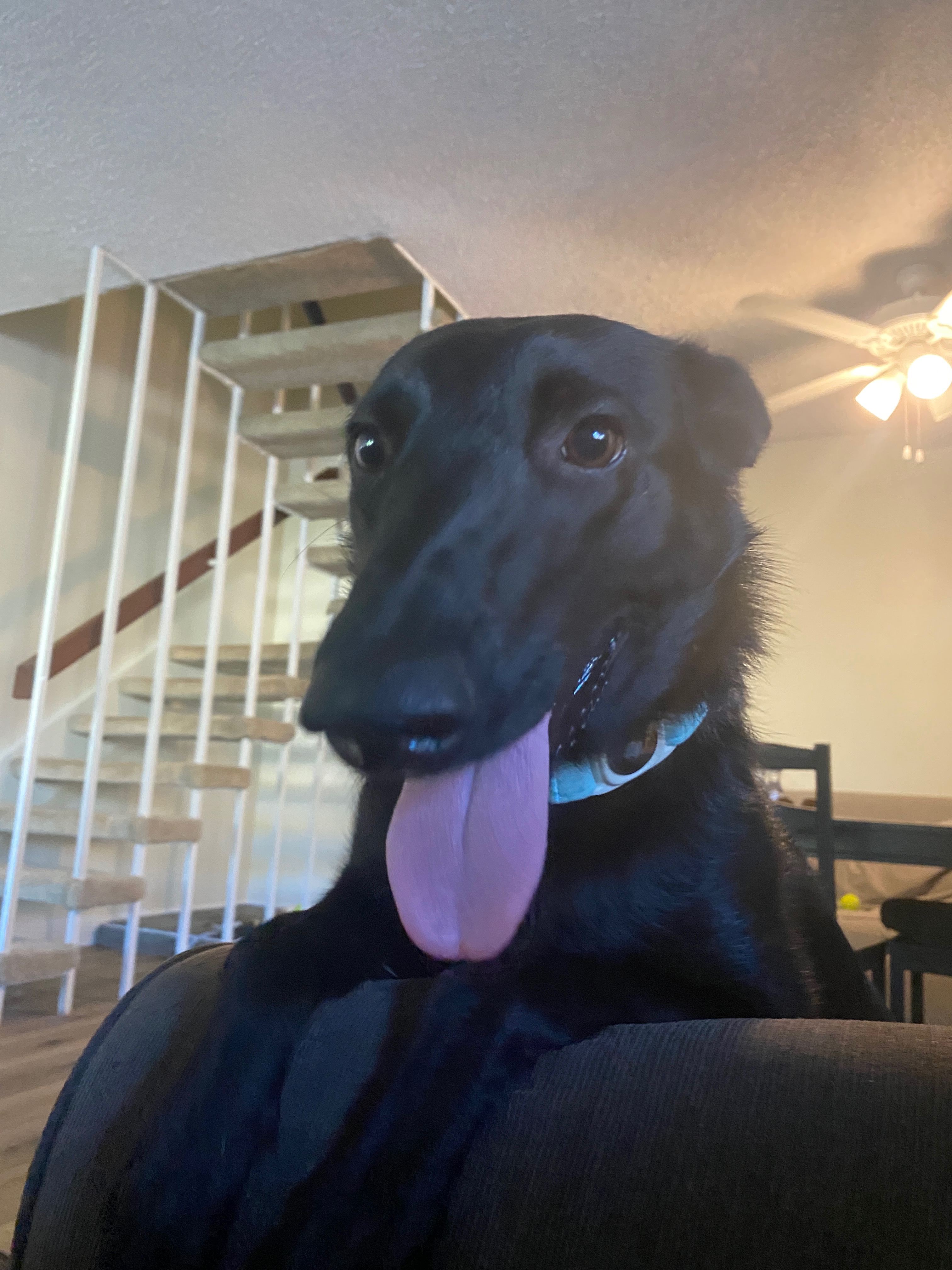 Save Winnie’s Smile: Donate for Her Surgery campaign photo, 2 of 6