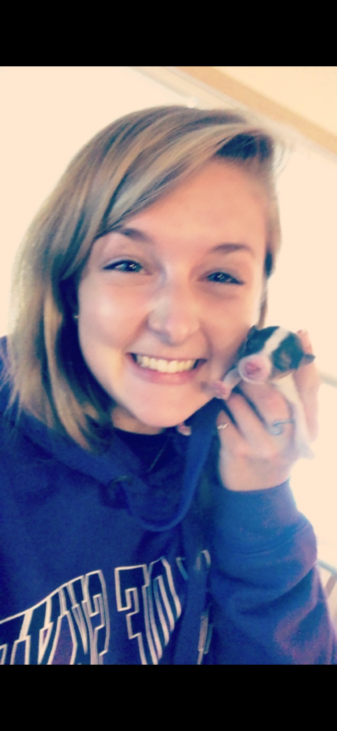 Help Save Sterling - Jessie's Silver Lining campaign photo, 4 of 8