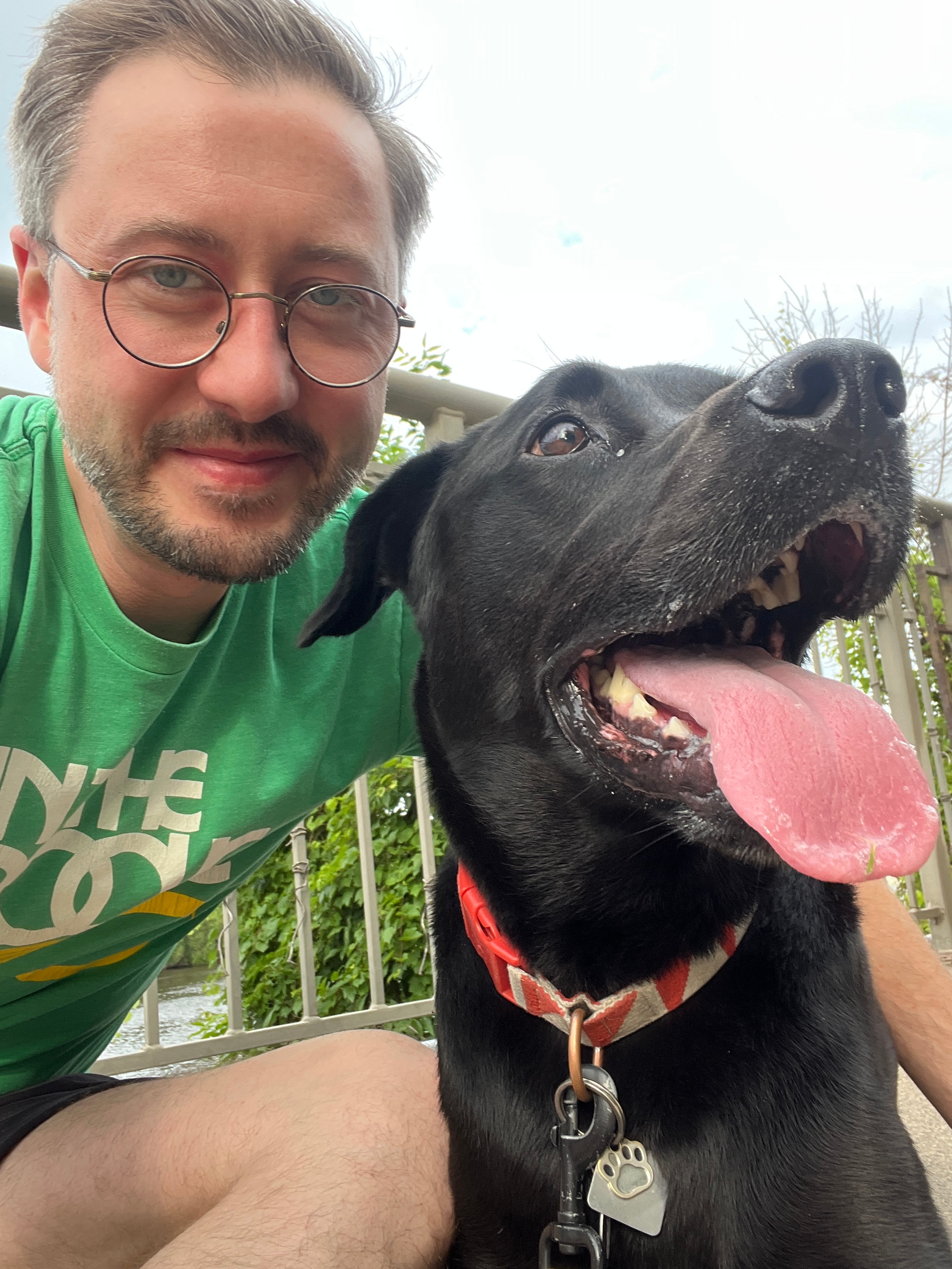 Help contribute to Loki's TPLO sugery campaign photo, 6 of 8