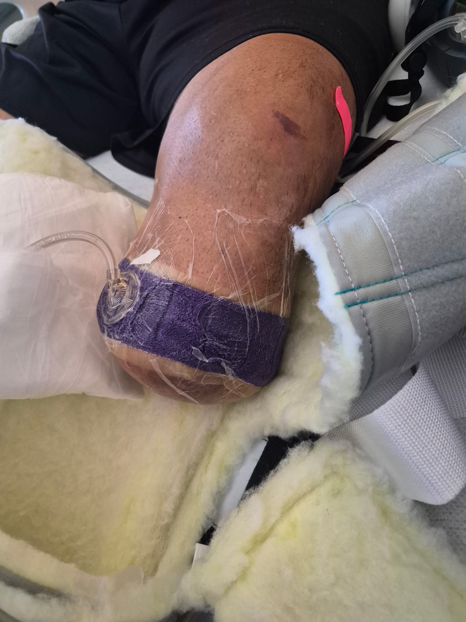 User-uploaded image 1