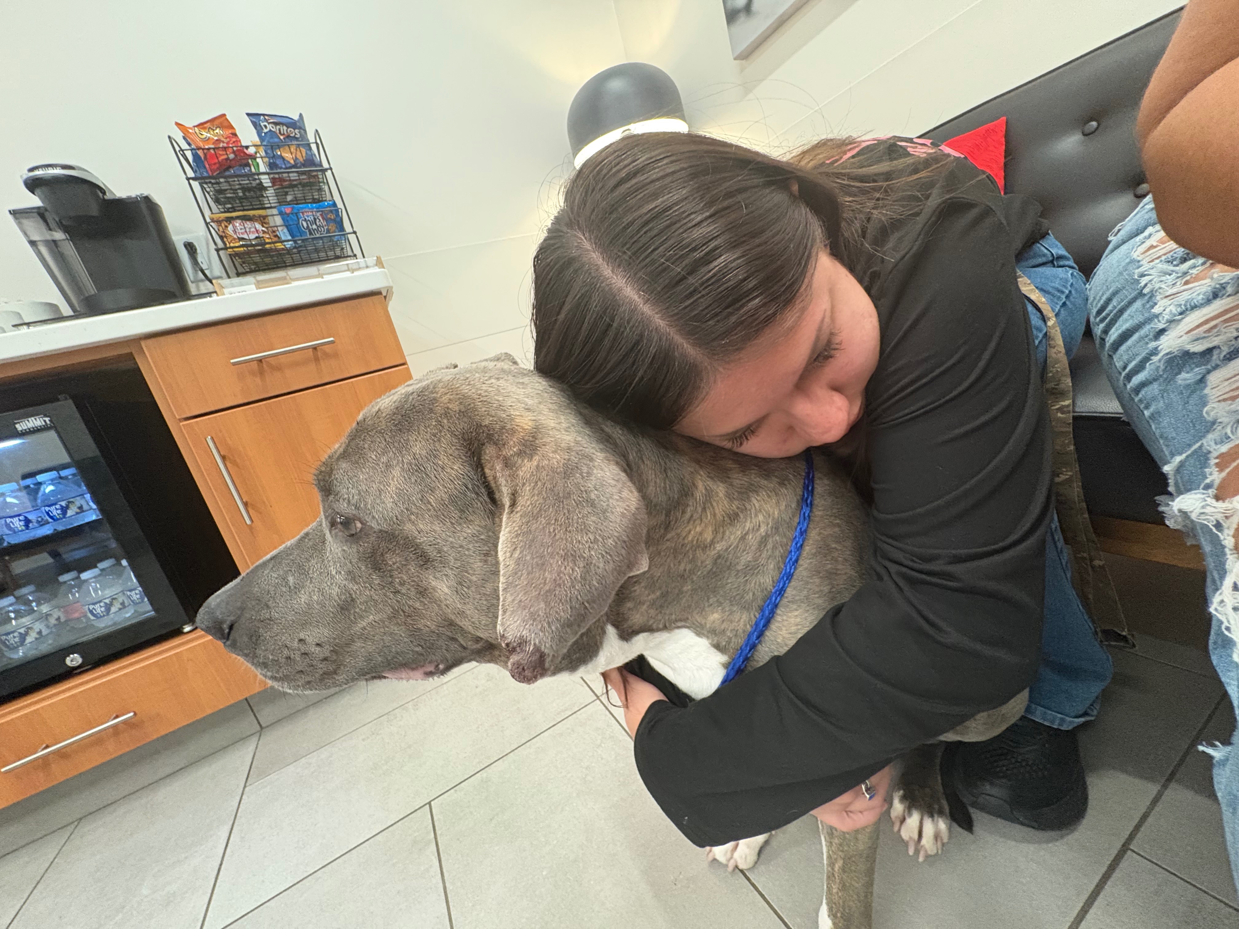 Help Rocky Through His Unexpected Medical Emergency campaign photo, 7 of 8