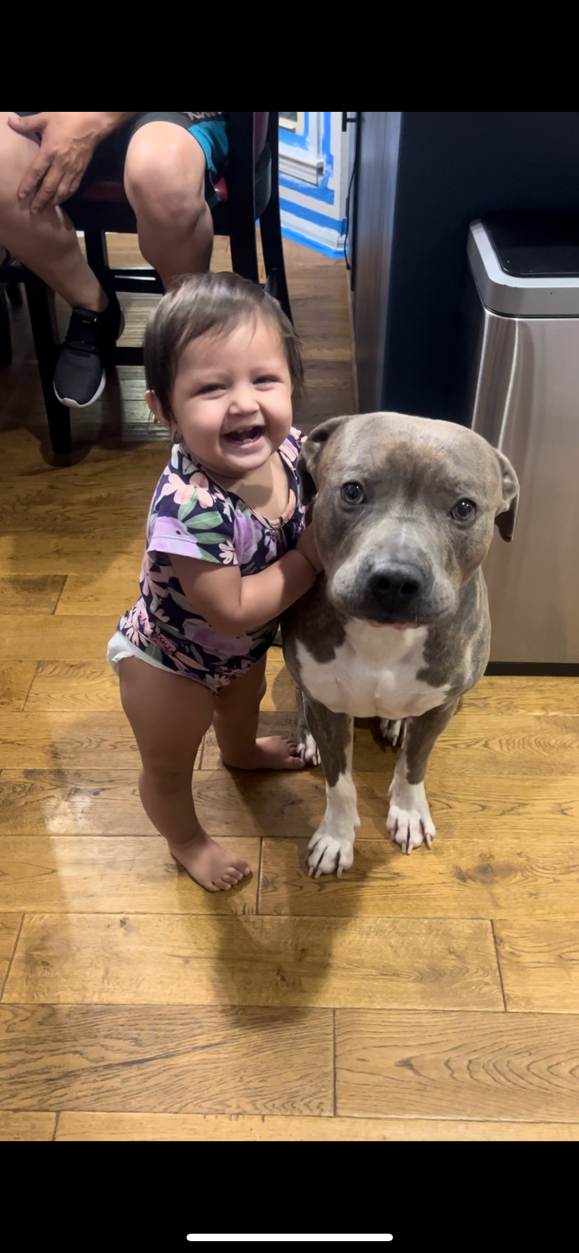 Help Rocky Through His Unexpected Medical Emergency campaign photo, 5 of 8