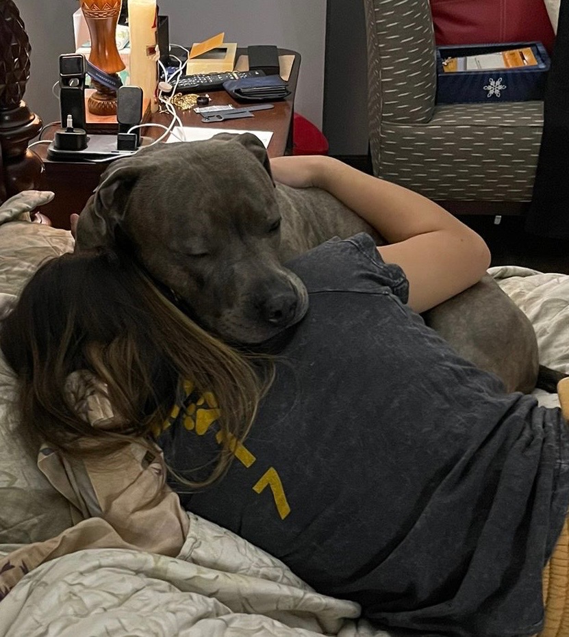 Help Rocky Through His Unexpected Medical Emergency campaign photo, 6 of 8