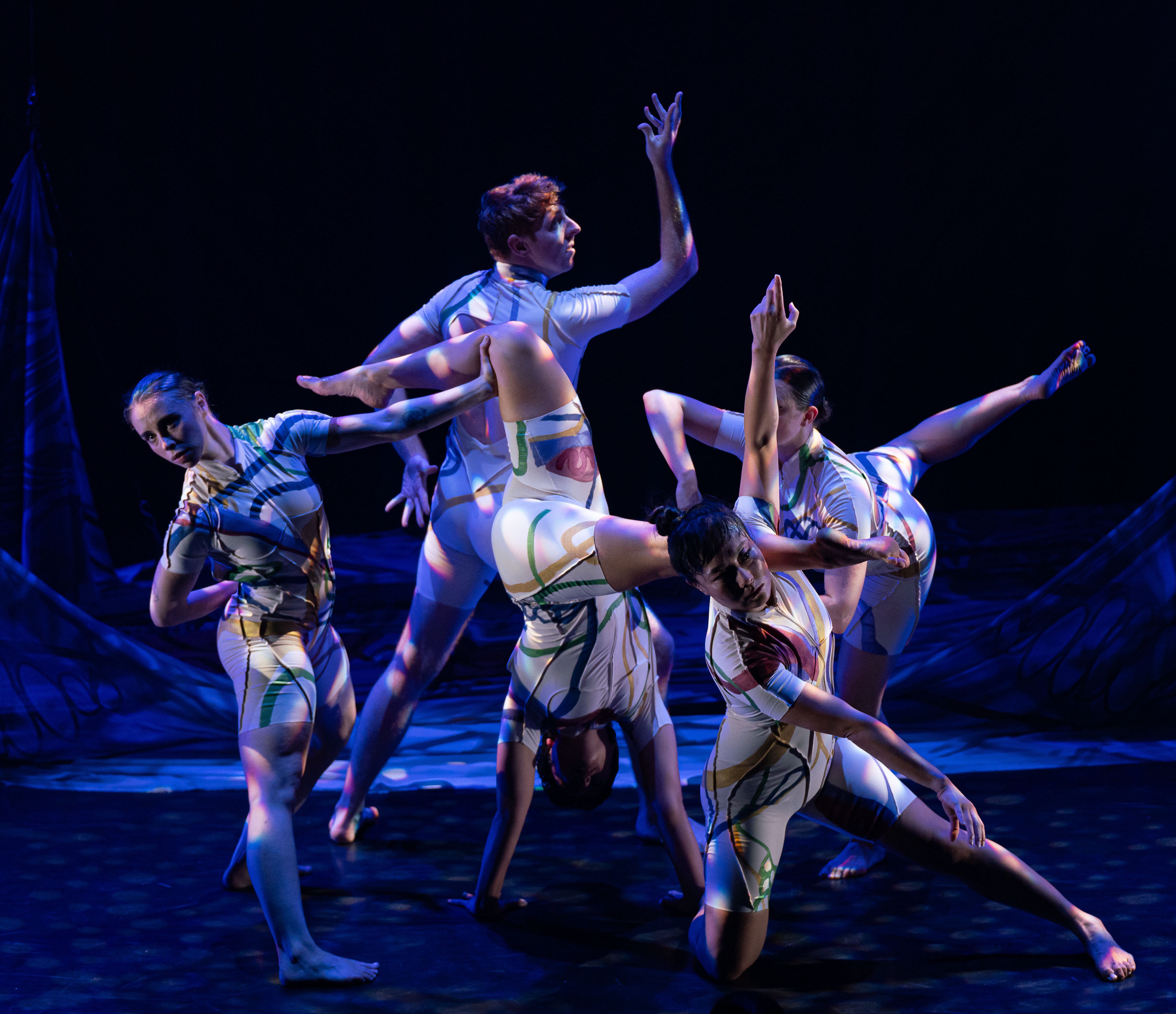 Move Us Forward: Help Fuel the Future of Independent Dance campaign photo, 6 of 7