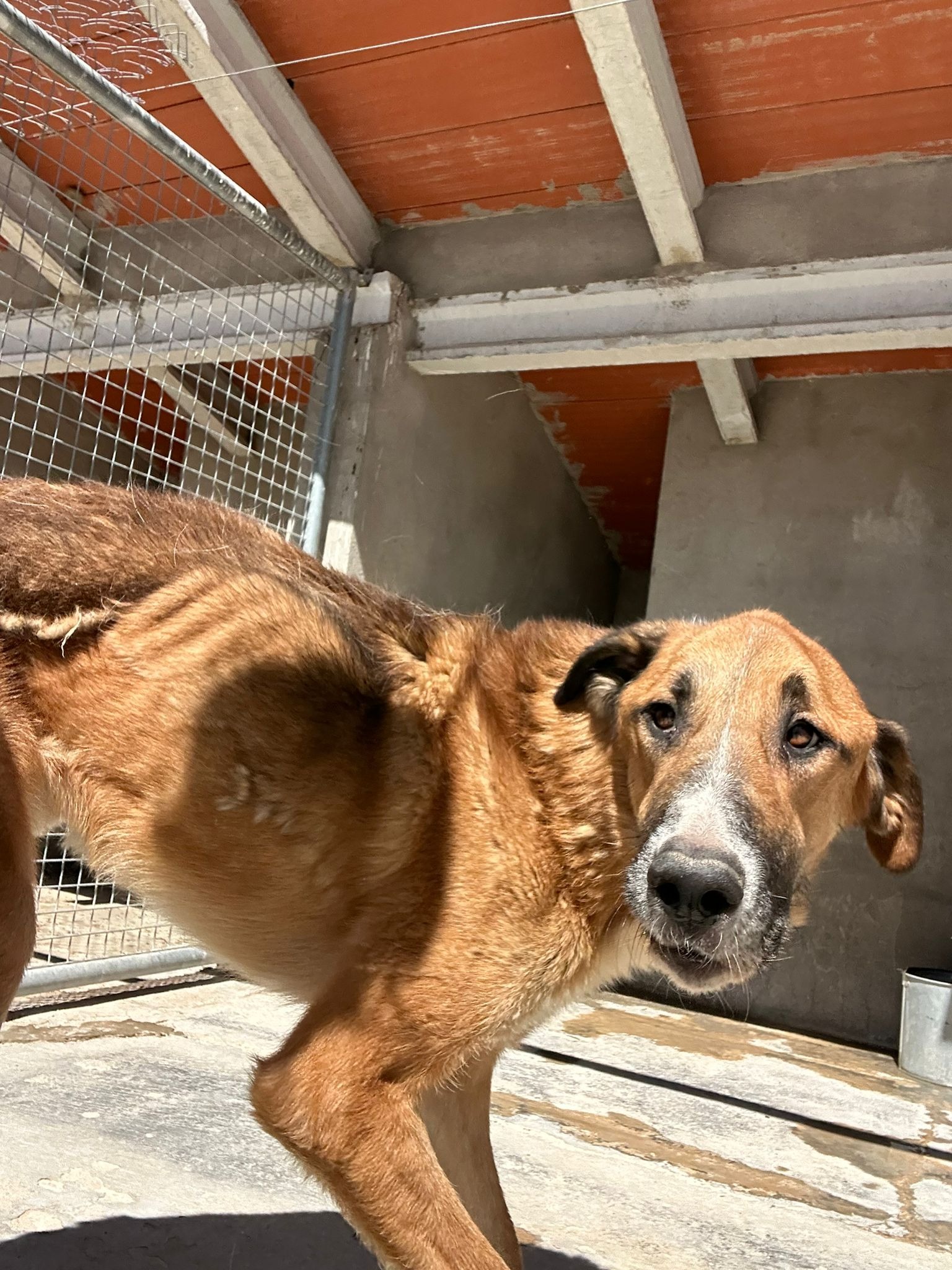 User-uploaded image 1