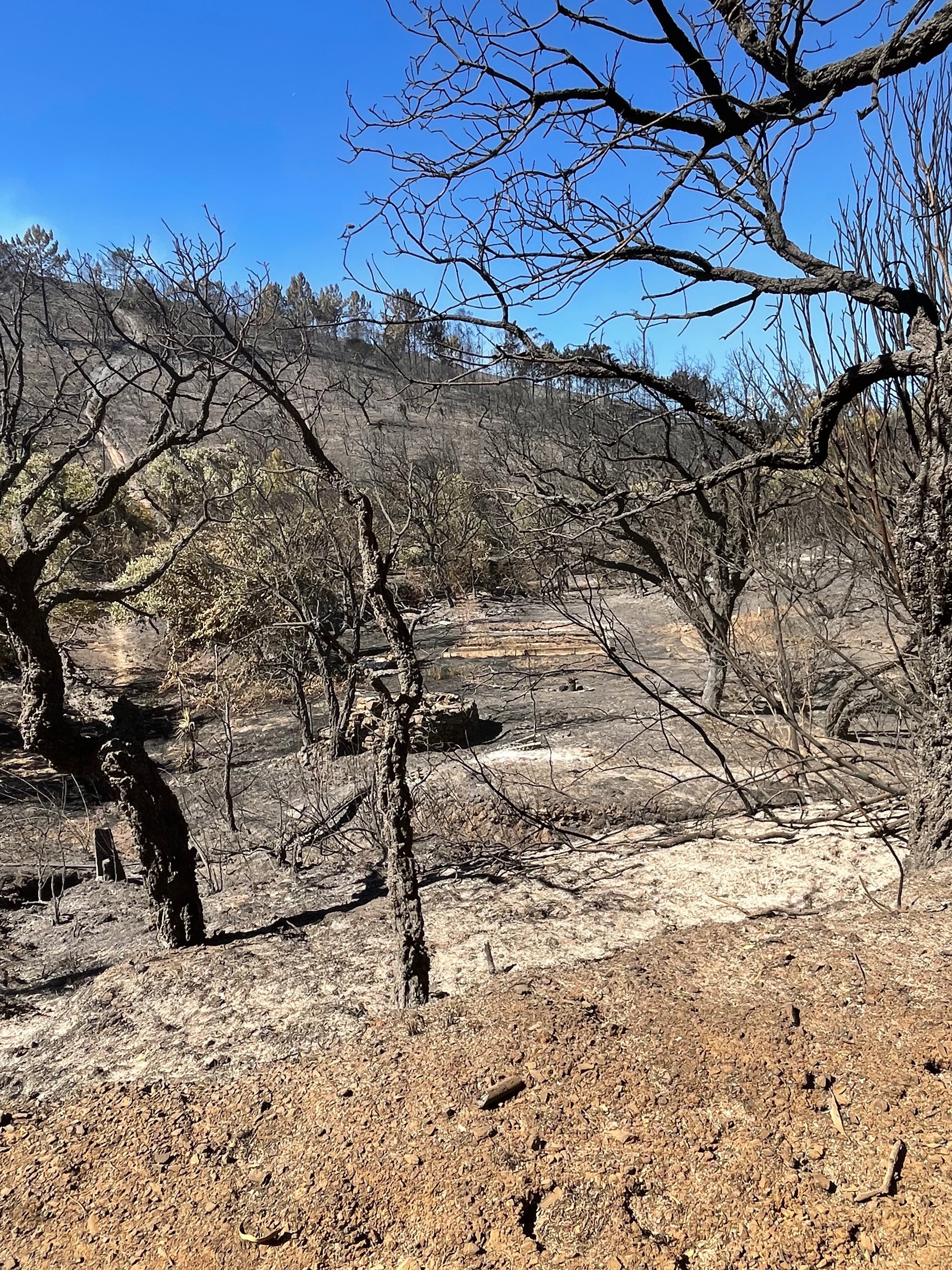 Fire relief for the people of Vale de Bordeira campaign photo, 7 of 8