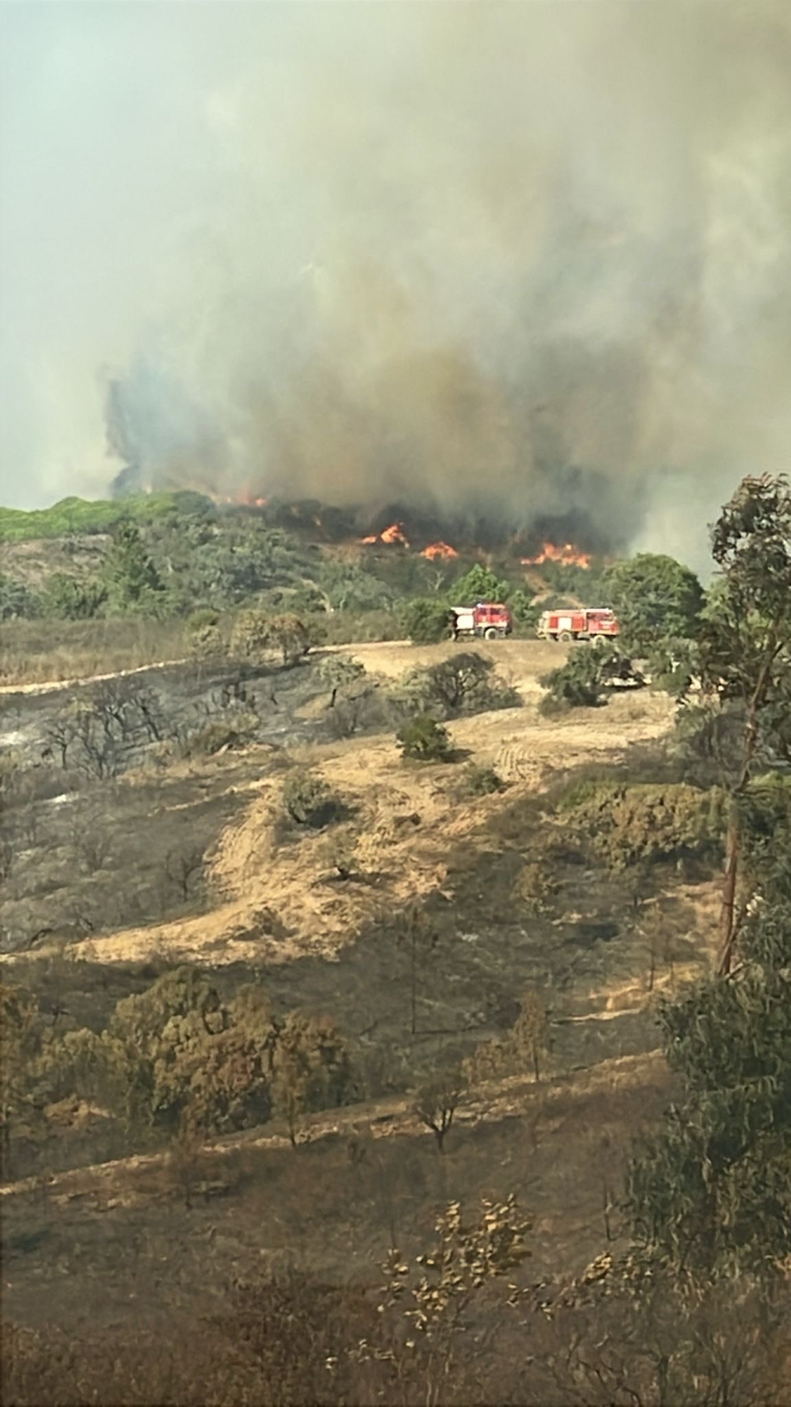 Fire relief for the people of Vale de Bordeira campaign photo, 5 of 8