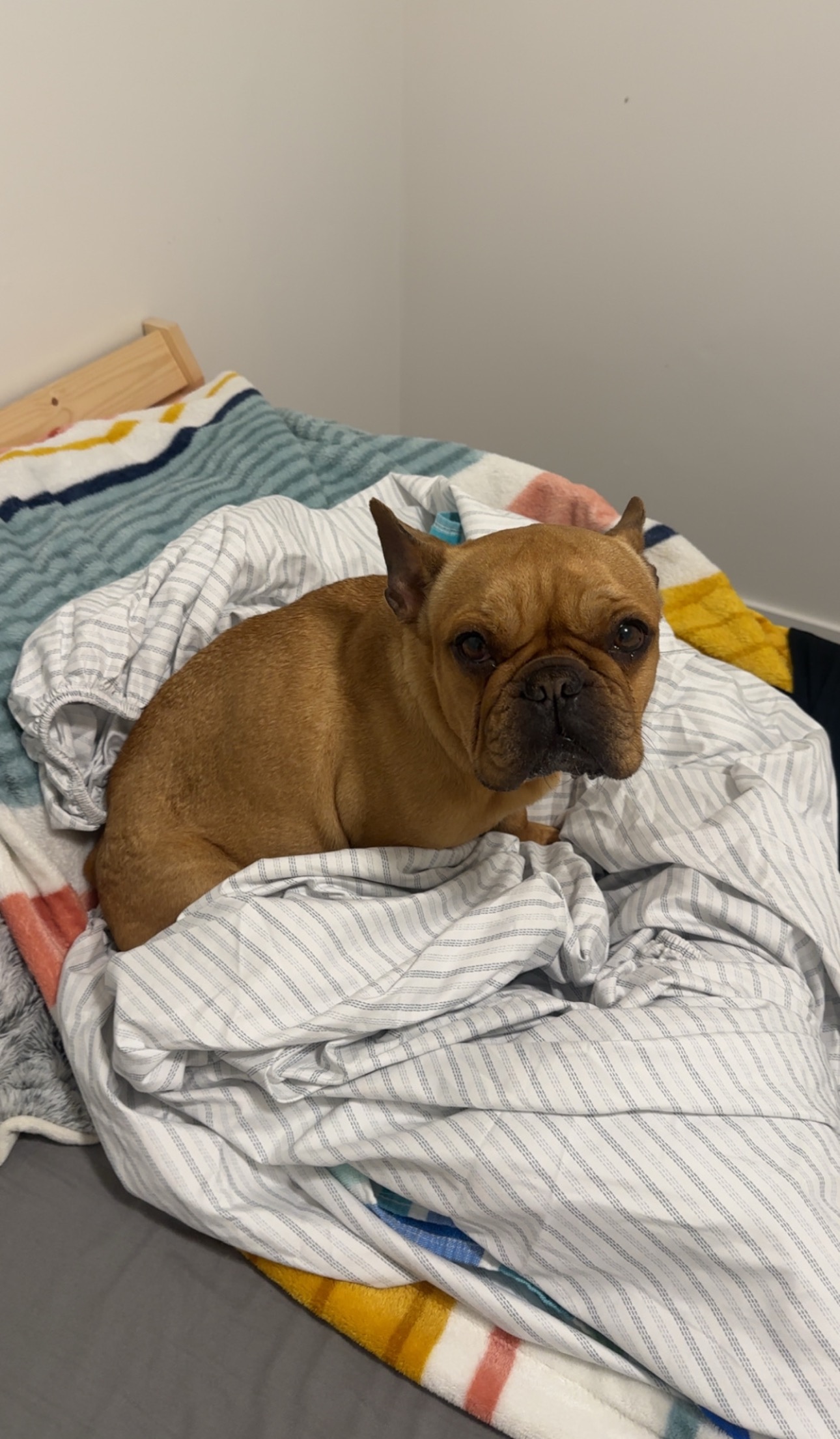 Help Ava Get Life-Saving Surgery campaign photo, 4 of 5