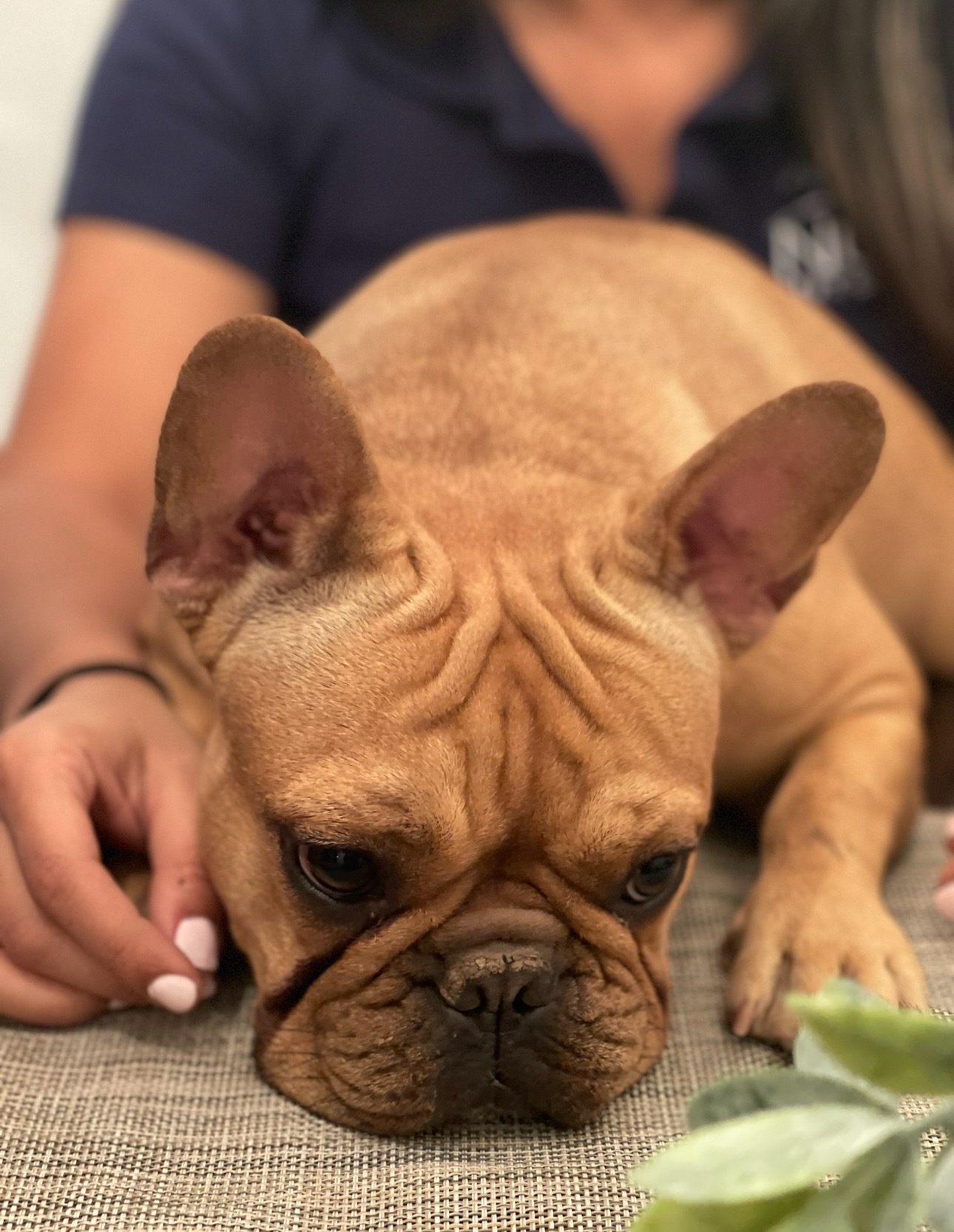 Help Ava Get Life-Saving Surgery campaign photo, 2 of 5