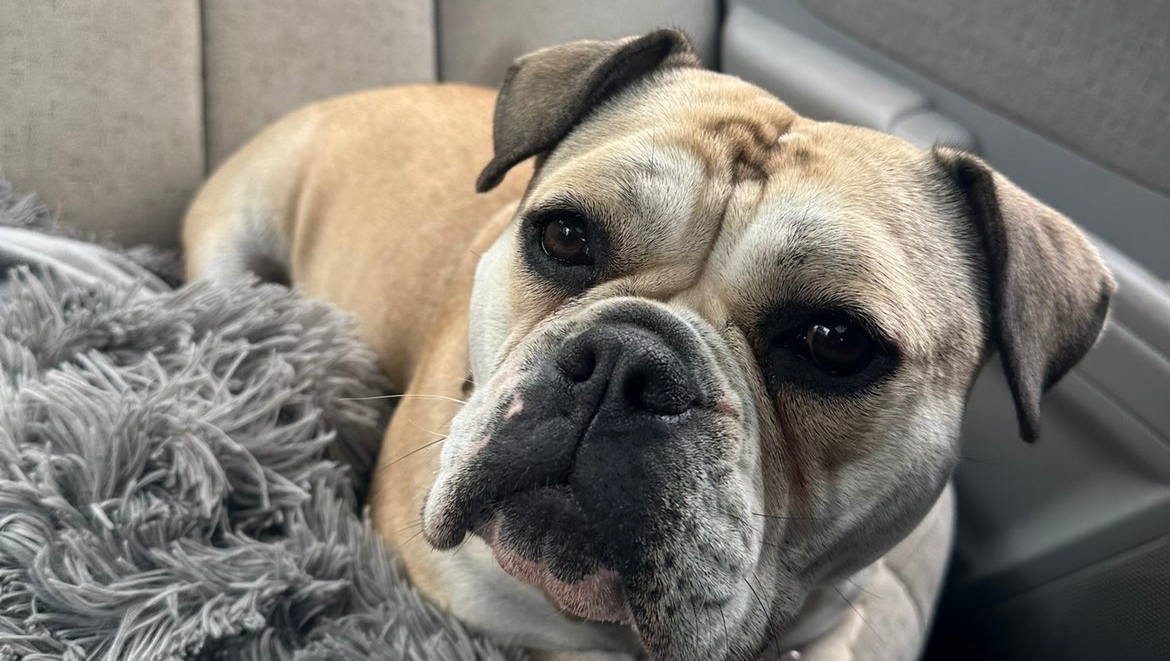 Donate to Winnie's Fight Against Cancer photo