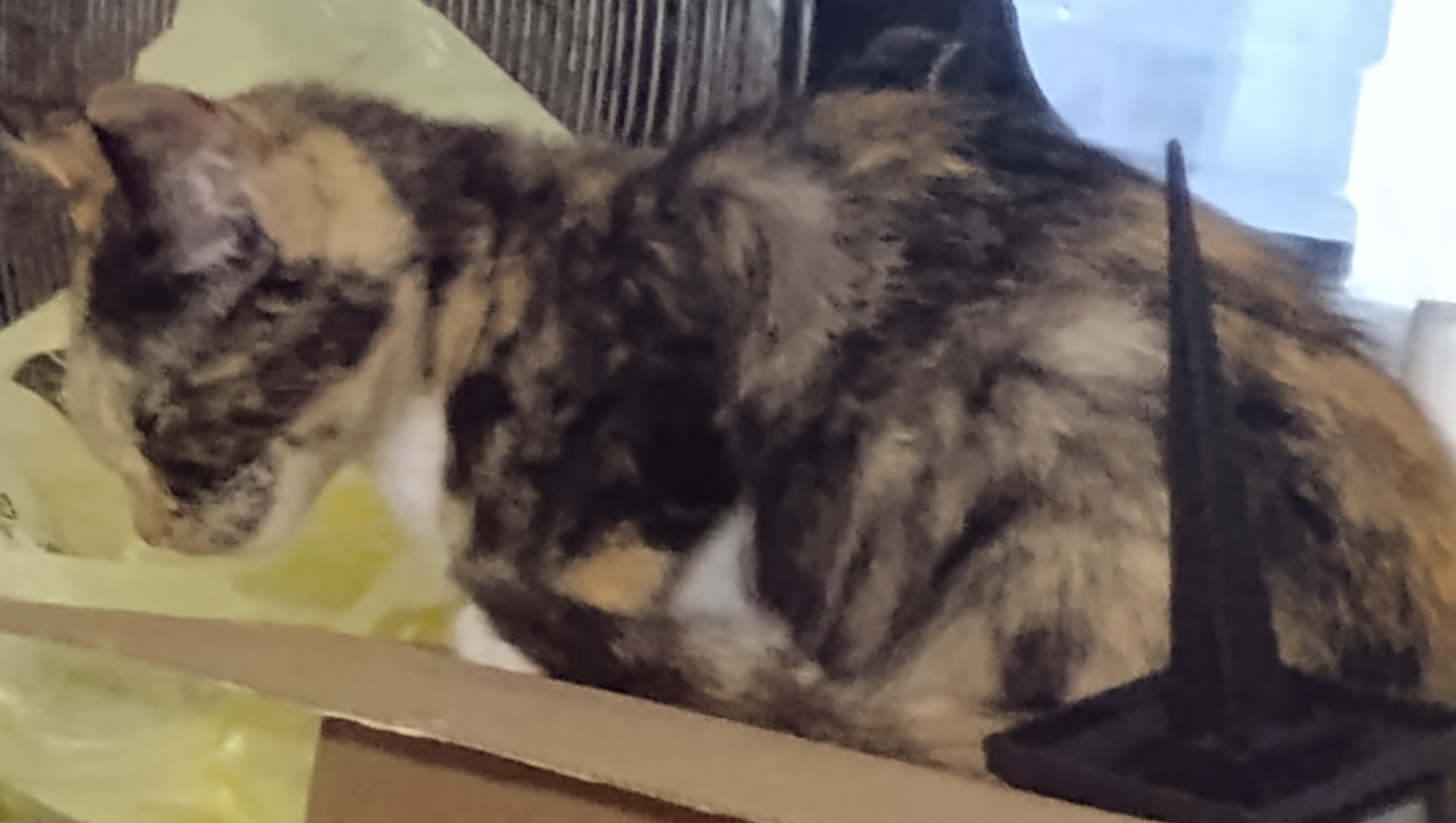 To help a man get life back on track