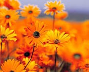 User-uploaded image 1