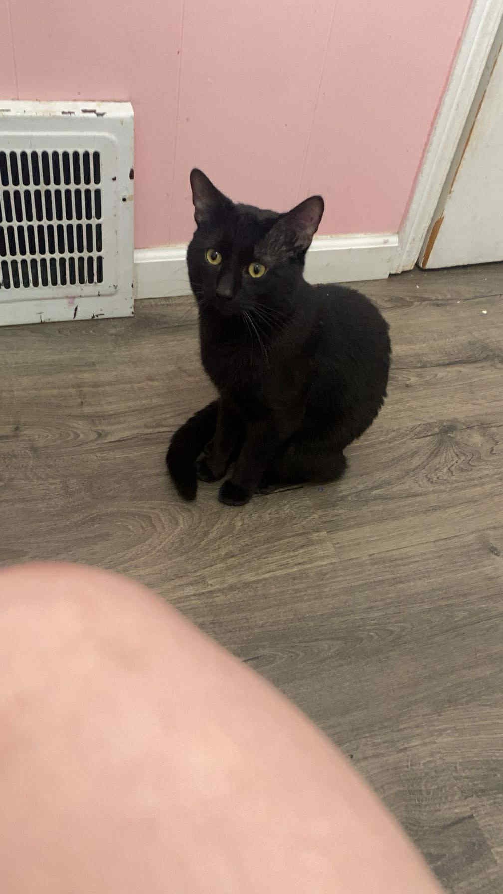 User-uploaded image 1