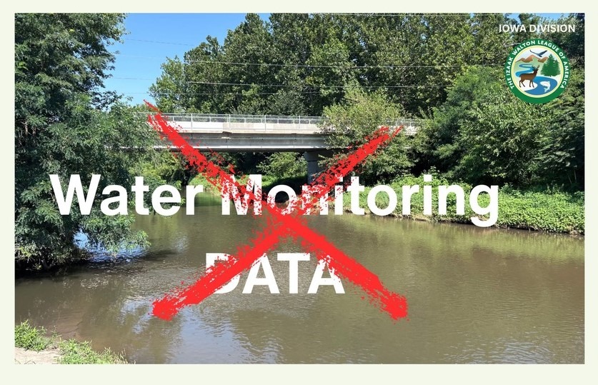 User-uploaded image 1