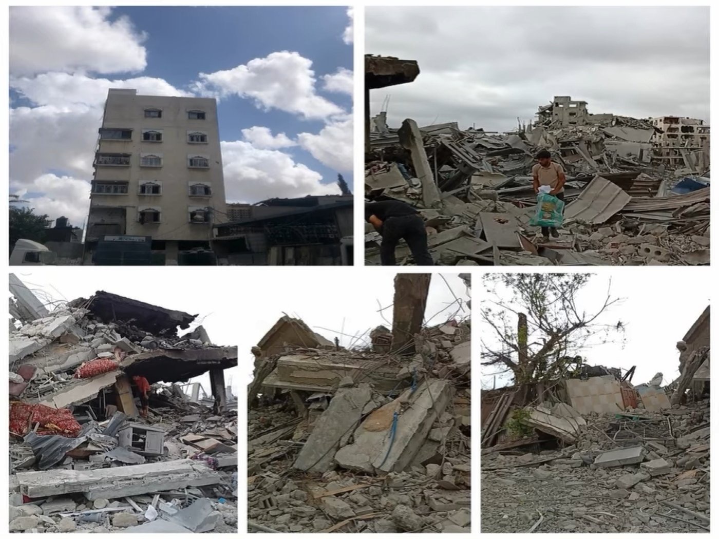 Help Bassam and his family survive and rebuild in Gaza campaign photo, 4 of 8