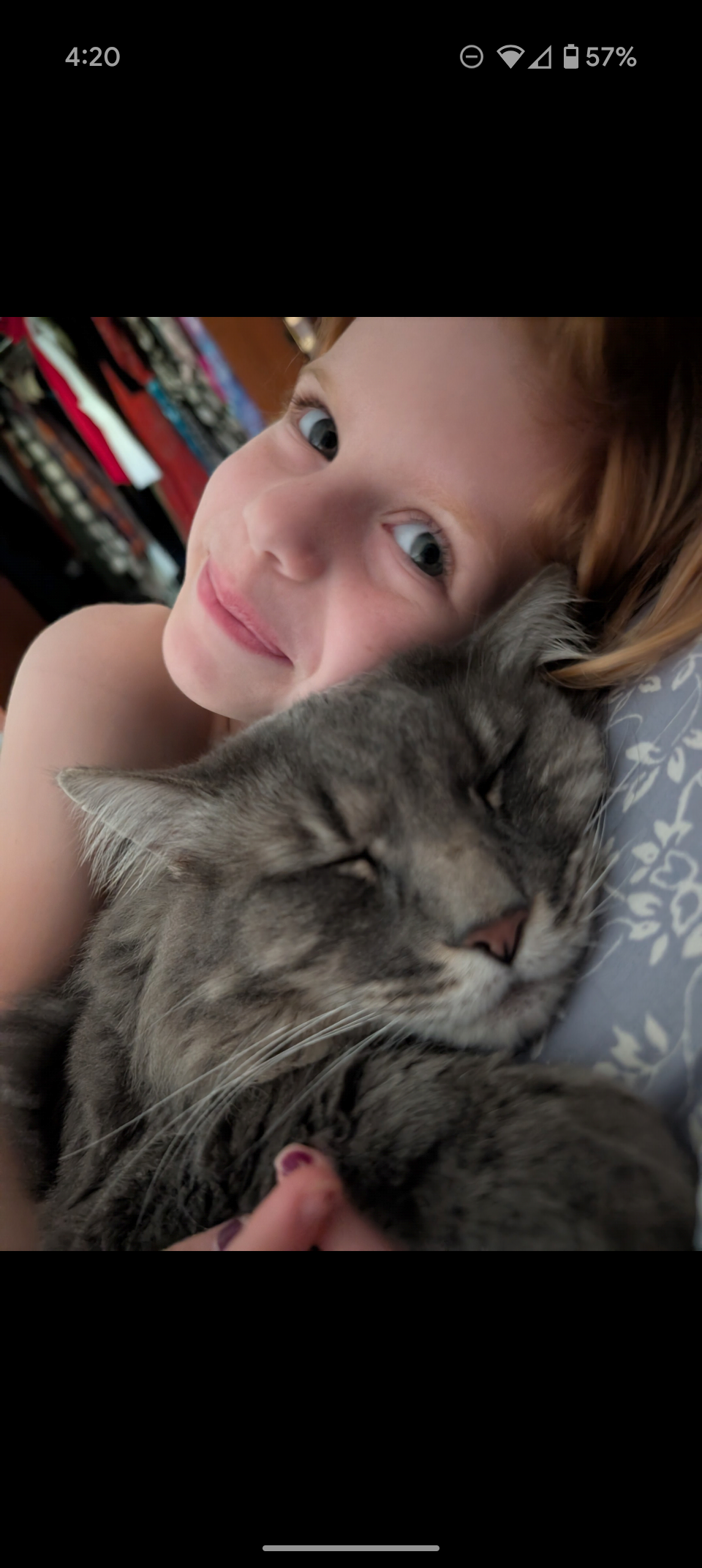 Frosty the Maine Coon campaign photo, 2 of 7