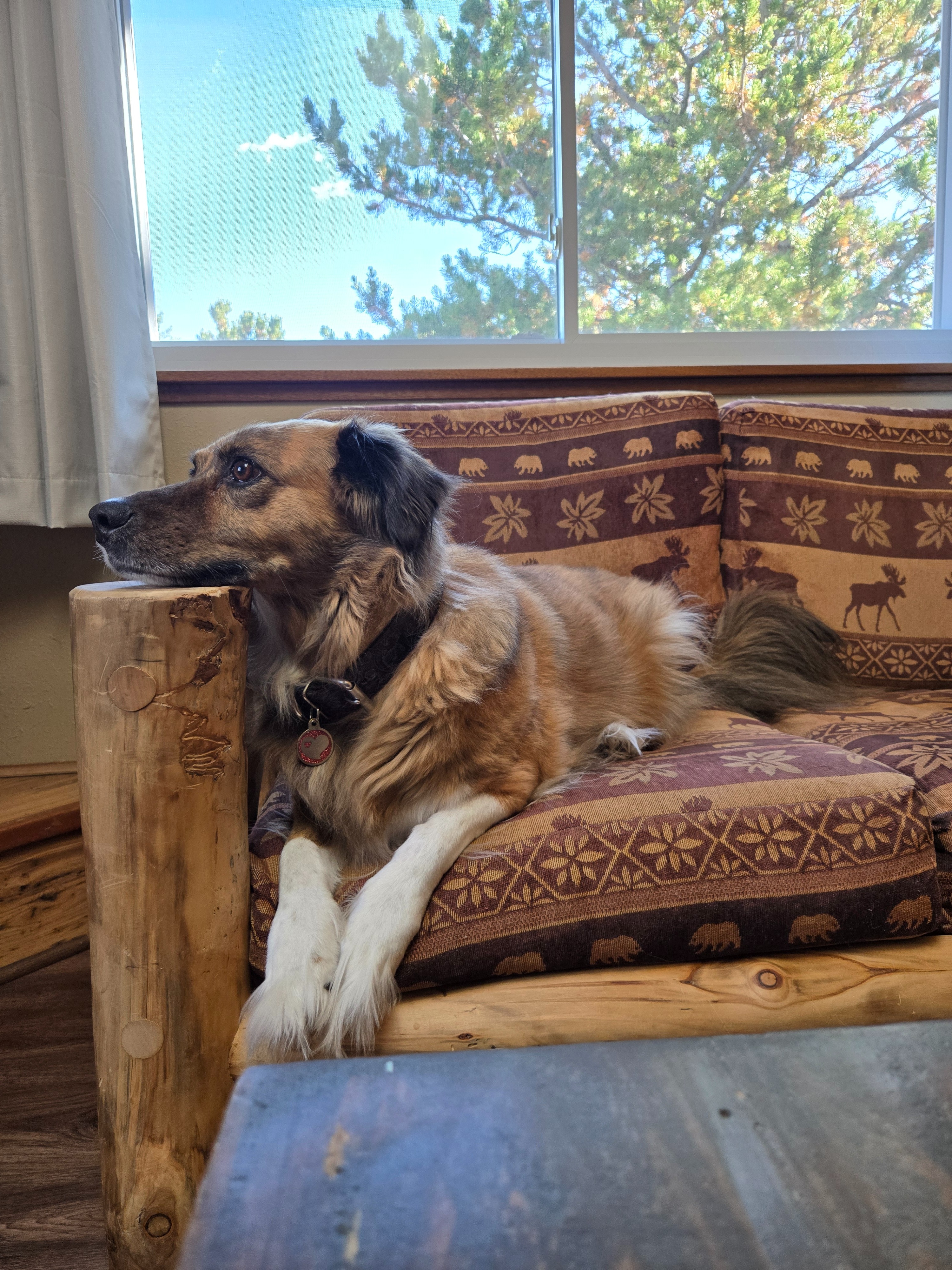 Support Jupiter's Cancer Recovery Journey campaign photo, 4 of 8
