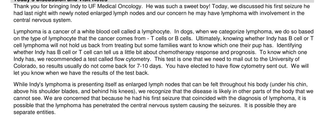 Help Indy Fight Lymphoma! Donate Now campaign photo, 5 of 8