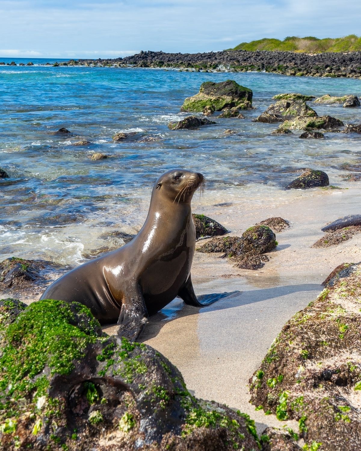 Protect the Galapagos with Me campaign photo, 4 of 6