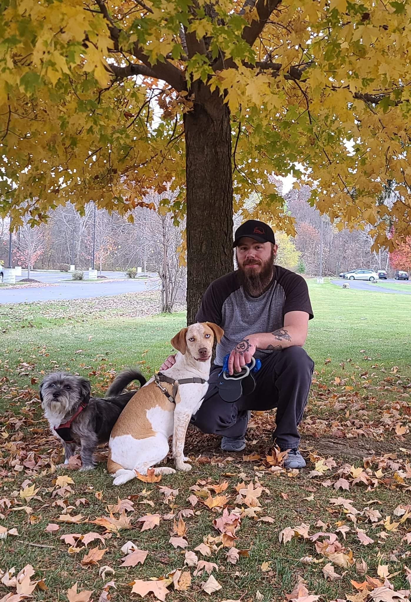Help us cover our expenses so David can heal in peace. campaign photo, 4 of 8