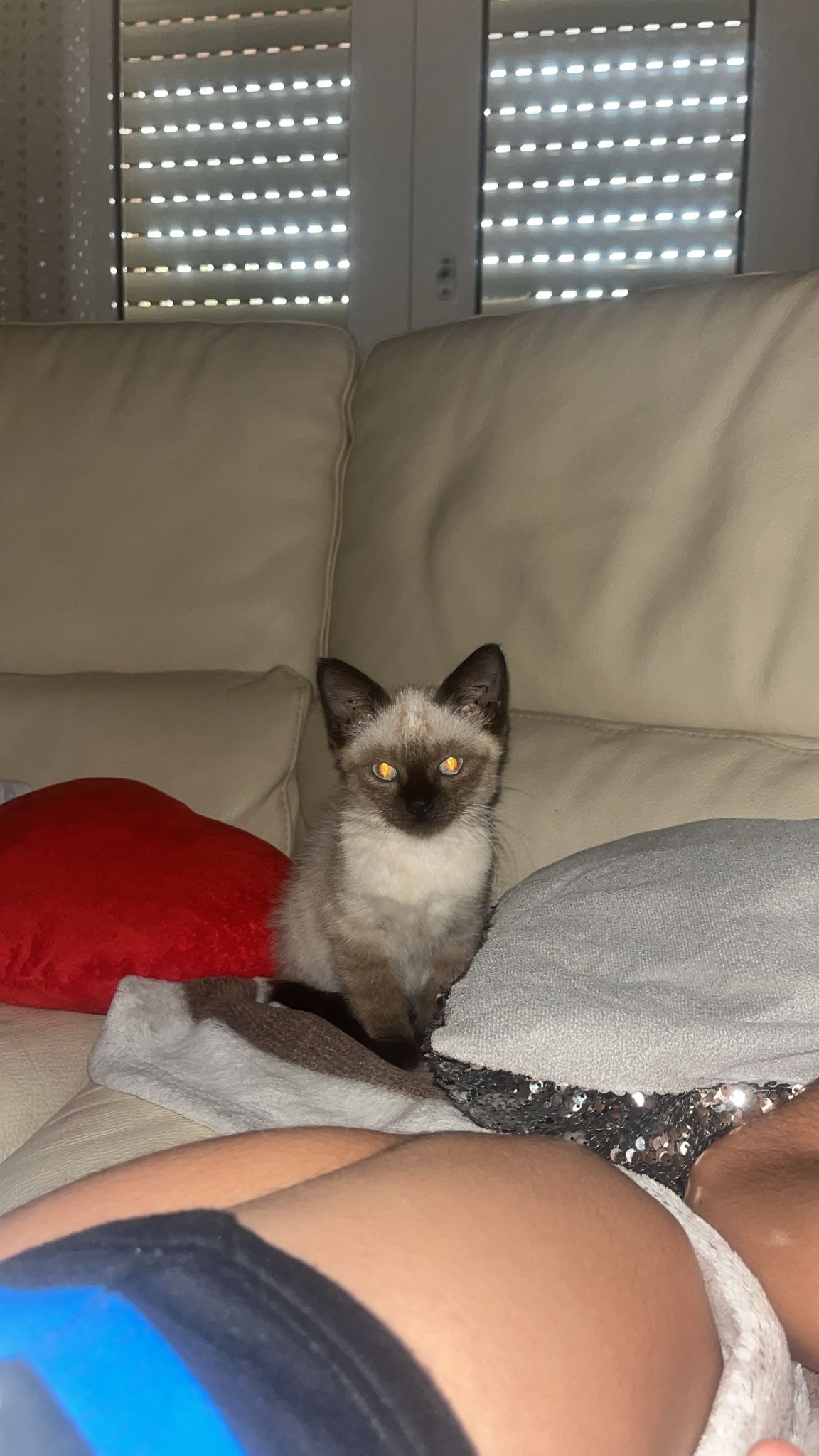 AIUTIAMO MILO A TORNARE A GIOCARE ❤️ campaign photo, 5 of 8