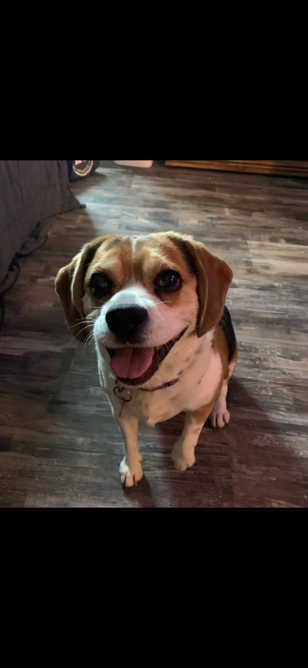 Please Help Sacha get Lifesaving Back Surgery campaign photo, 7 of 8