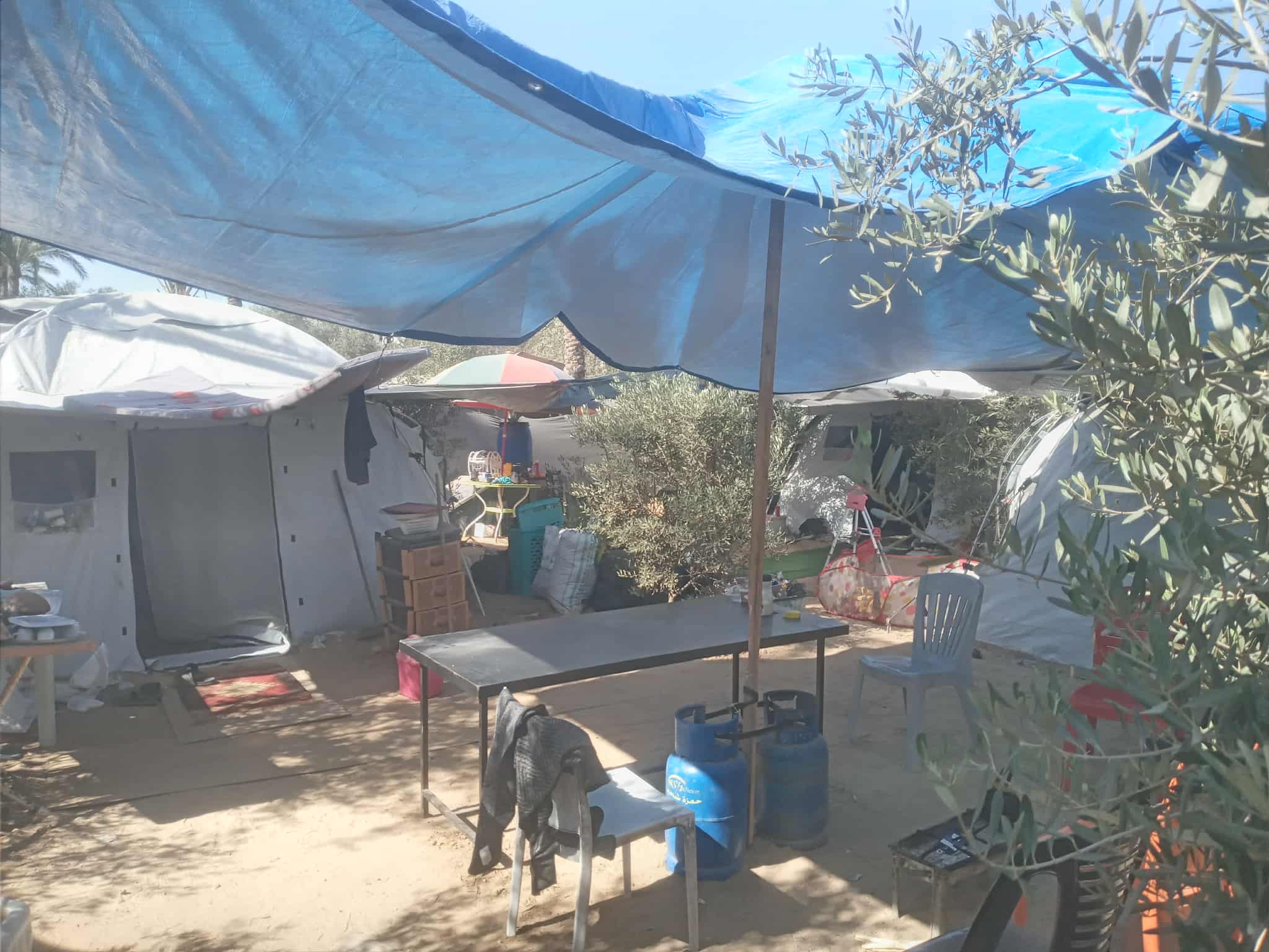 Help My Family Survive and Rebuild Their Lives in Gaza campaign photo, 4 of 7