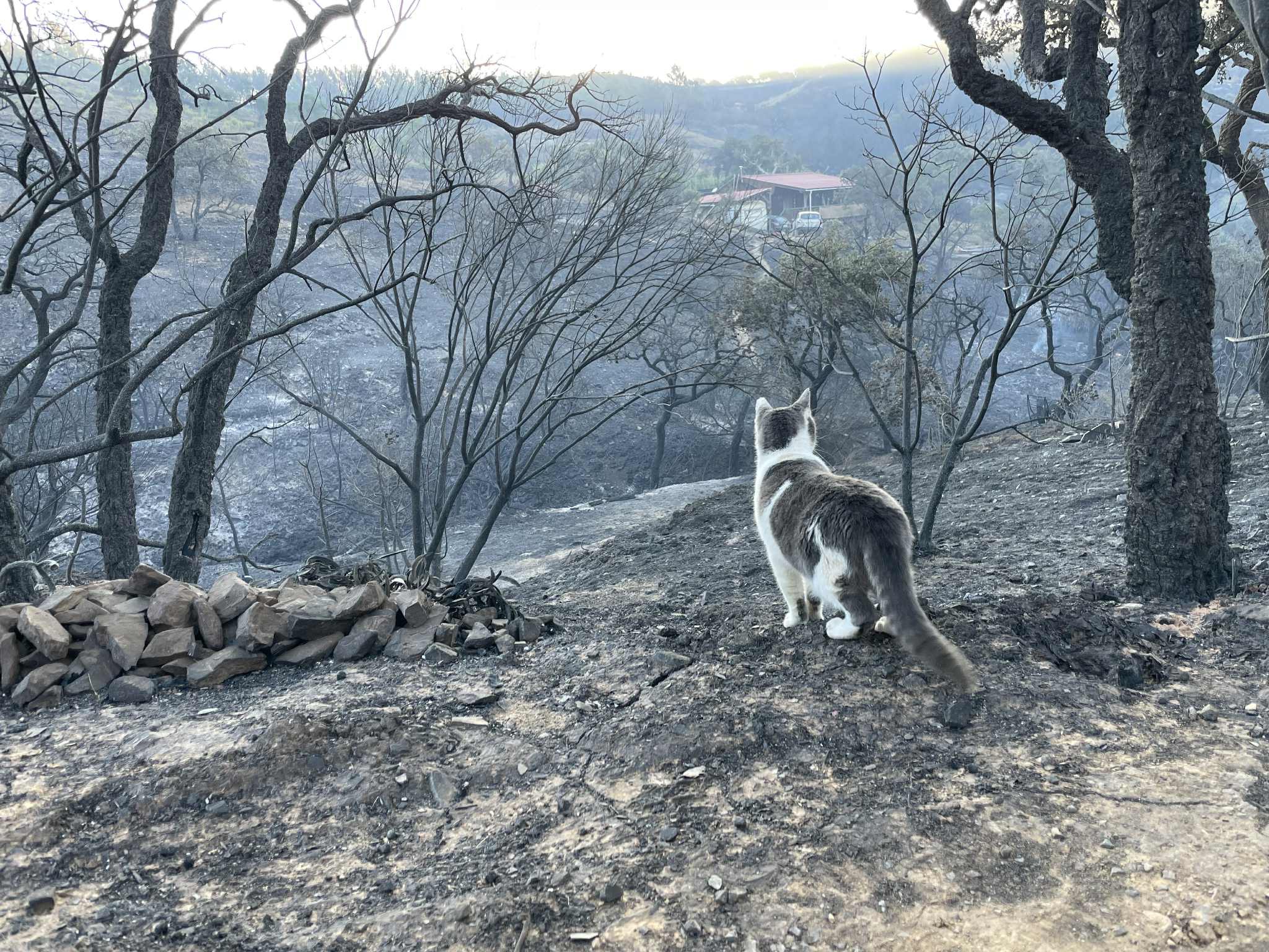 Please help Karen rebuild what she has lost campaign photo, 4 of 7