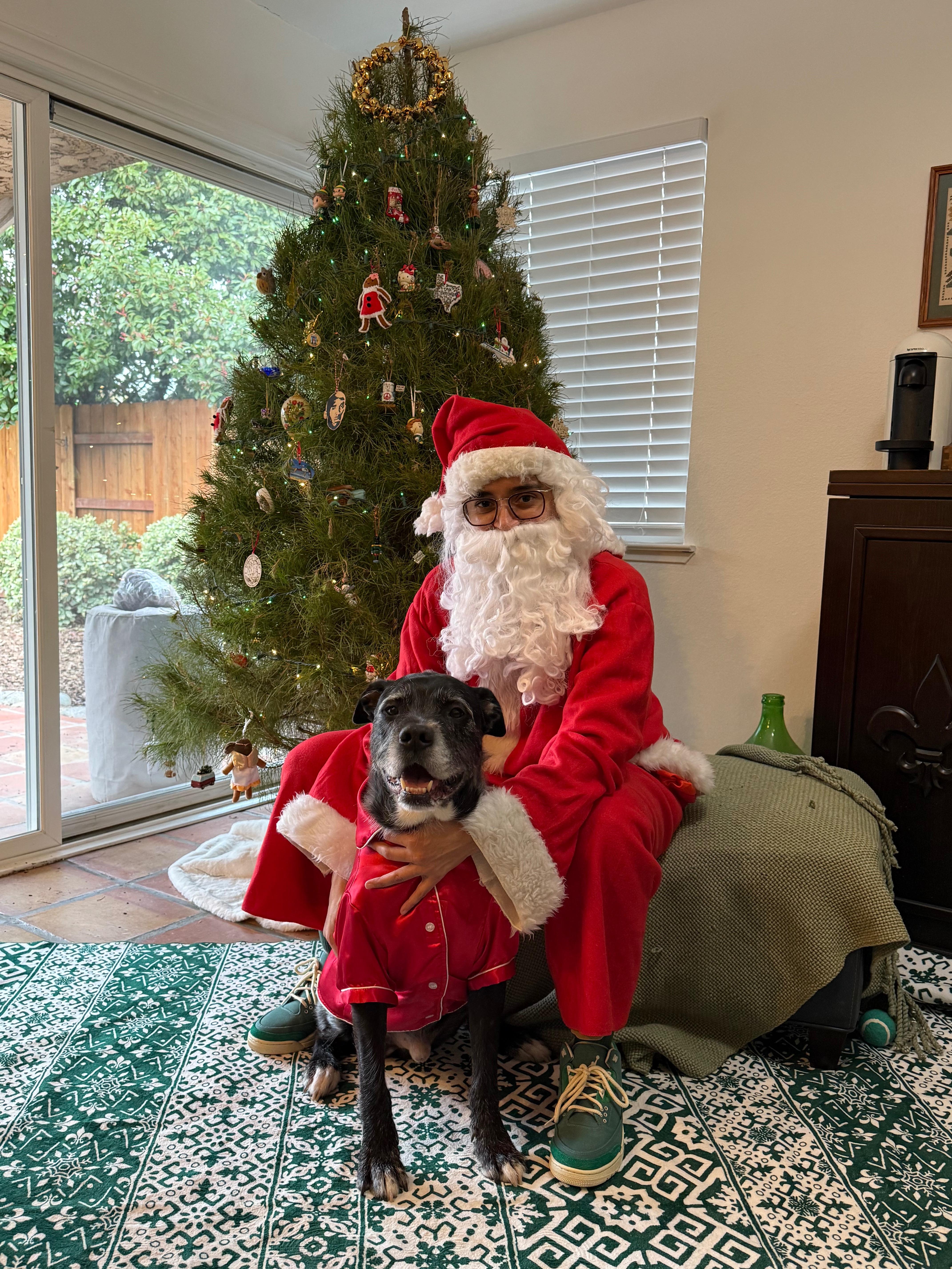 Donate to Save Sweet Benji's Life campaign photo, 6 of 8