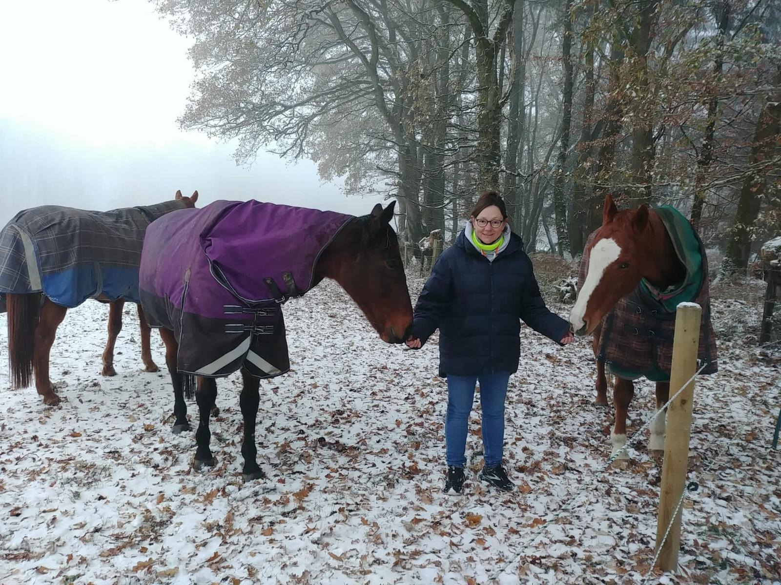 PHAASE Horse Sanctuary campaign photo, 7 of 8