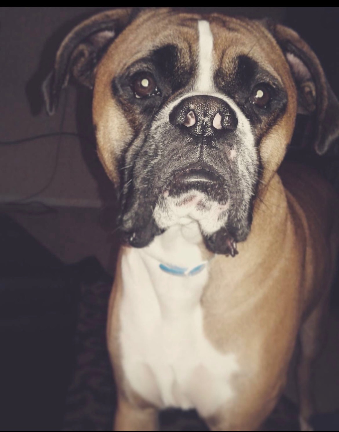 Support Tank's Urgent Surgery campaign photo, 7 of 8