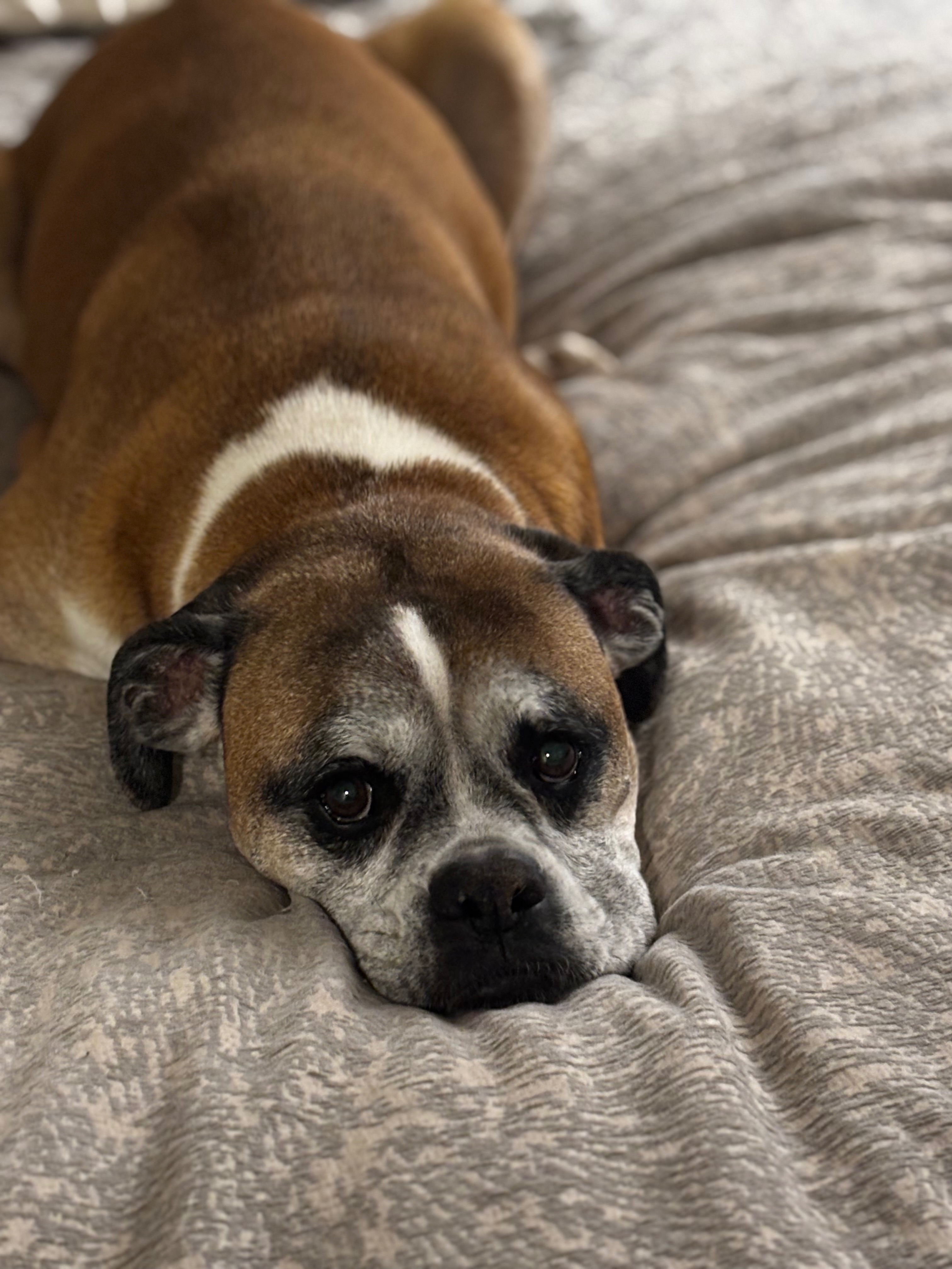 Support Tank's Urgent Surgery campaign photo, 5 of 8