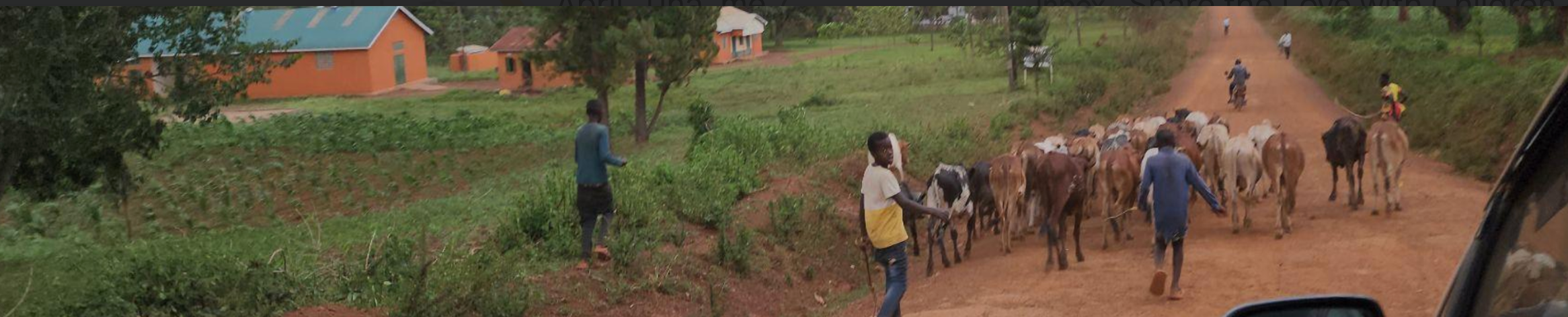 Join David in Transforming Lives in Uganda campaign photo, 6 of 7