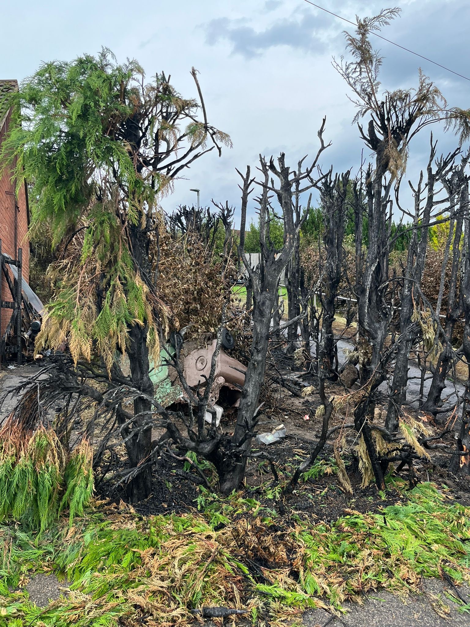 Arson attack destroys elderly ladies property campaign photo, 2 of 7