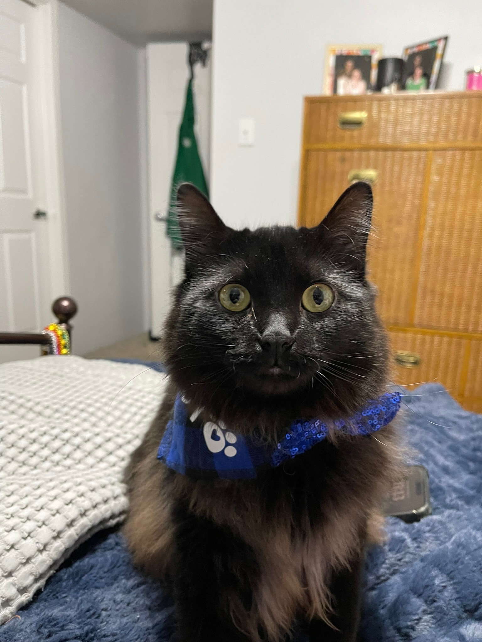 Help Nori Have Life Saving Surgery campaign photo, 2 of 6