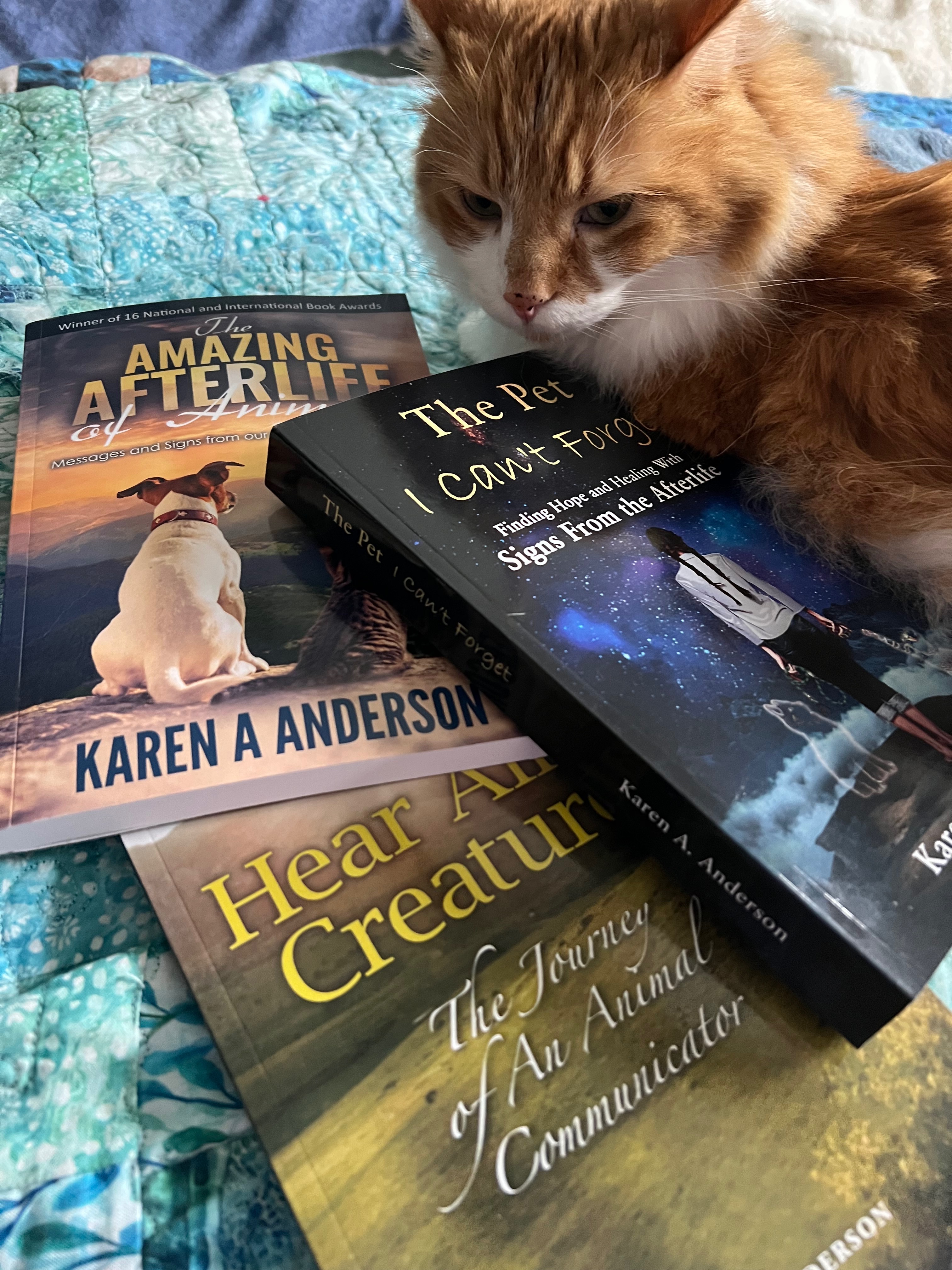 Meow from Beyond, help fund my course to connect with pets campaign photo, 7 of 8