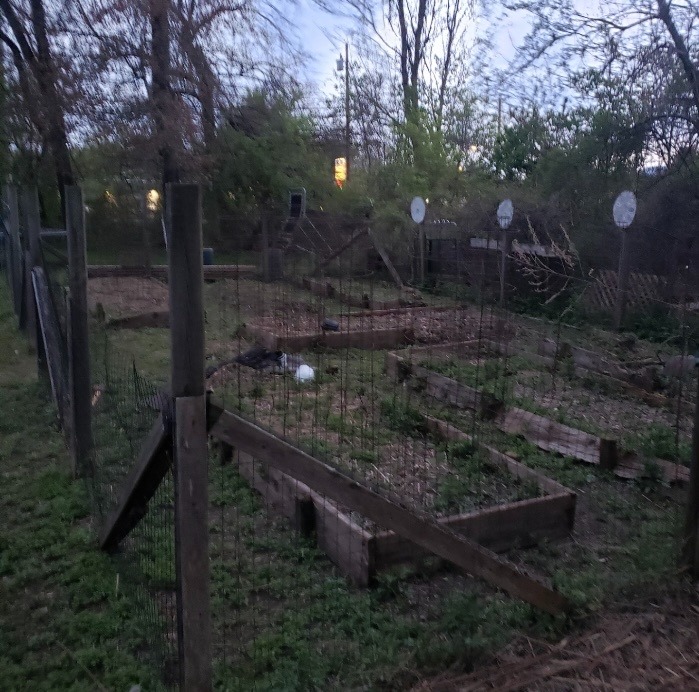 URGENT: Help Save Laurie's farmhouse! campaign photo, 2 of 8