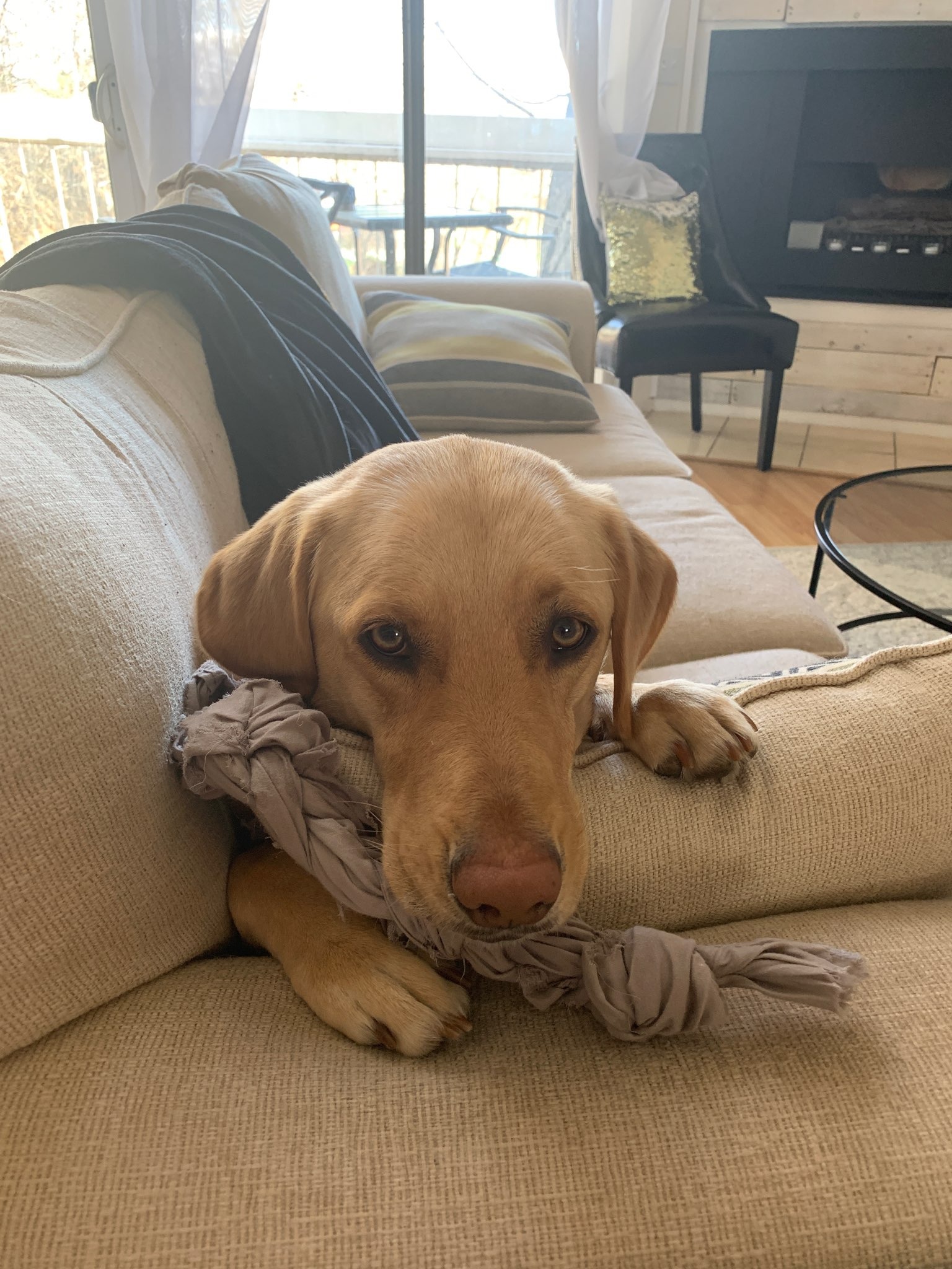 Donate to Cover Claire's Emergency Surgery and Recovery campaign photo, 7 of 8