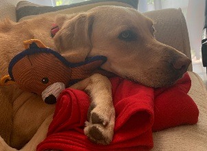 Donate to Cover Claire's Emergency Surgery and Recovery campaign photo, 4 of 8