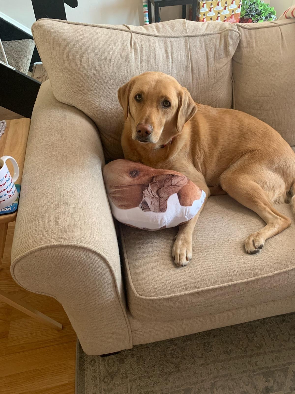 Donate to Cover Claire's Emergency Surgery and Recovery campaign photo, 5 of 8