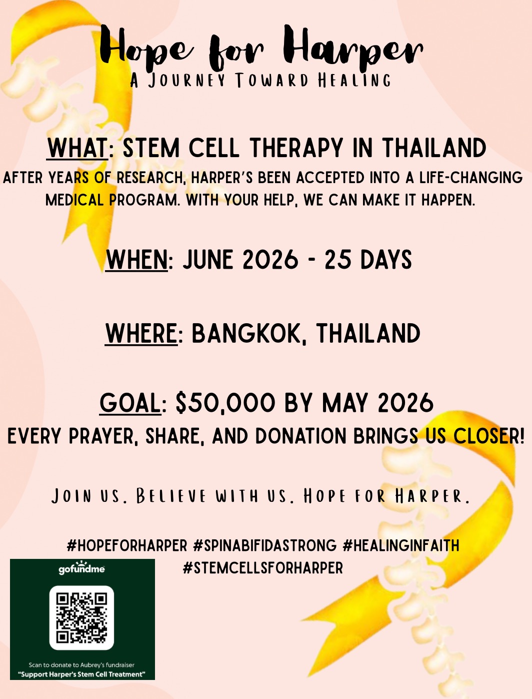 Support Harper's Stem Cell Treatment campaign photo, 5 of 8